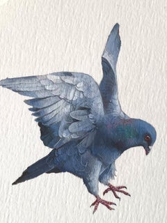 Pigeon Landing, 2023, miniature realist animal painting