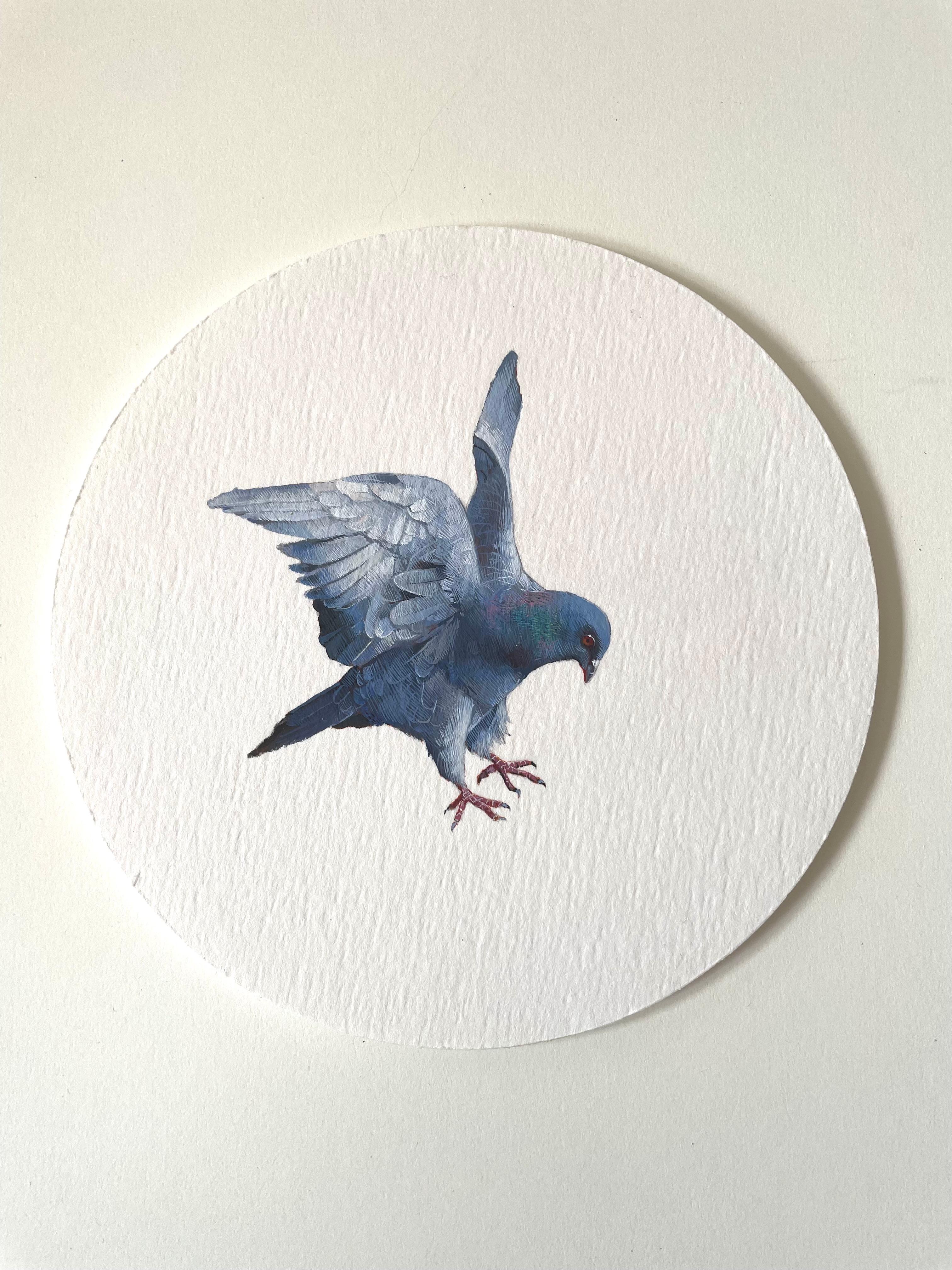 Dina Brodsky Animal Painting - Pigeon Landing, 2023, miniature realist animal painting