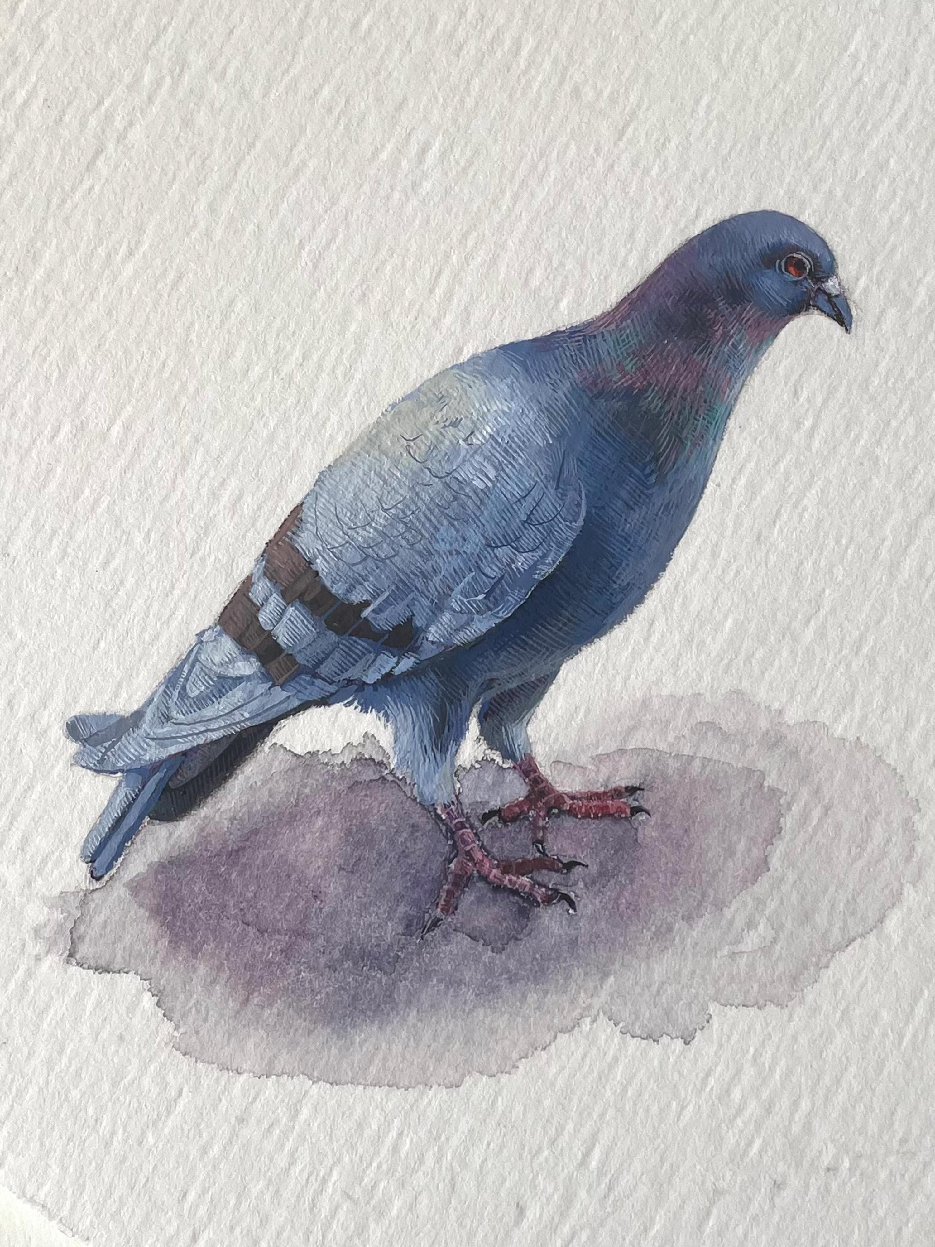 Pigeon Musing, 2023, miniature realist bird painting - Painting by Dina Brodsky
