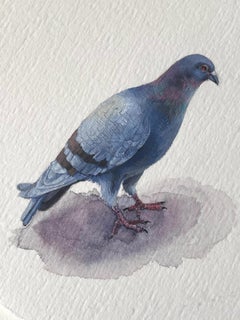 Pigeon Musing, 2023, miniature realist bird painting