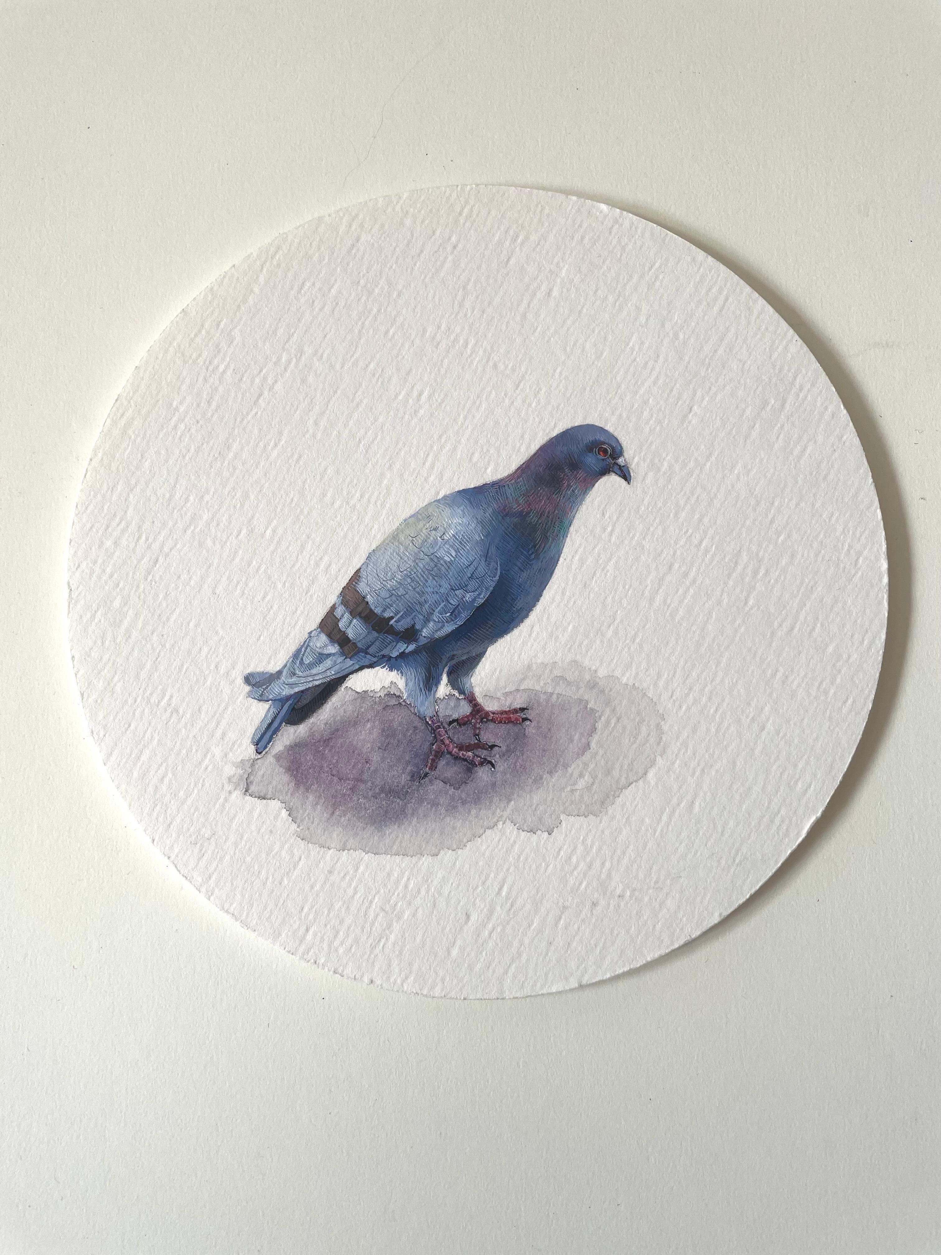 Dina Brodsky Animal Painting - Pigeon Musing, 2023, miniature realist bird painting