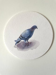 Pigeon Musing, 2023, miniature realist landscape painting