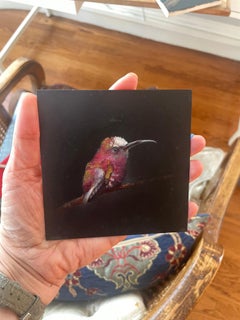Colibri rose, peinture réaliste miniature d'oiseau sur fond noir, huile sur cuivre