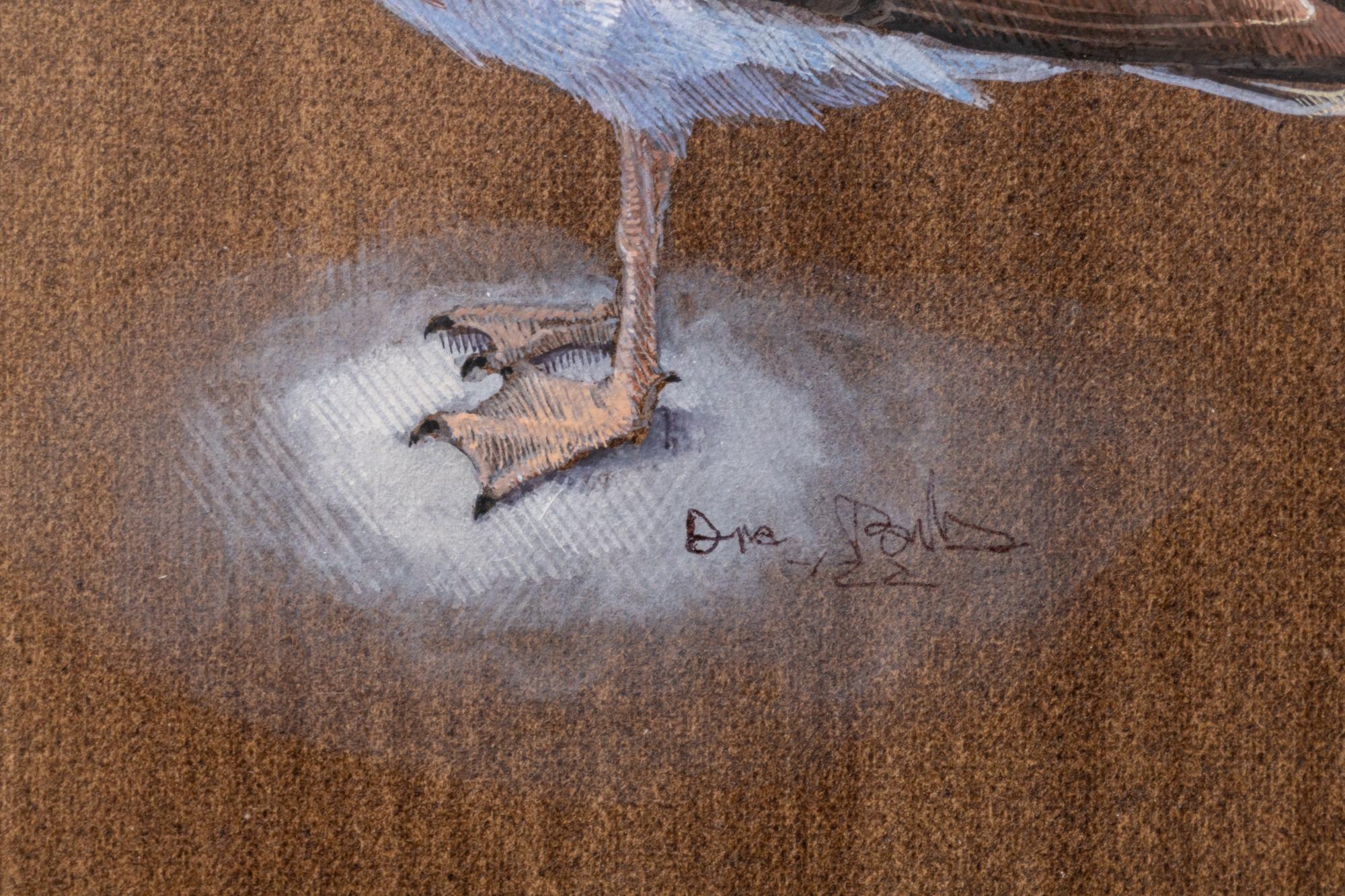Seagull - Painting by Dina Brodsky