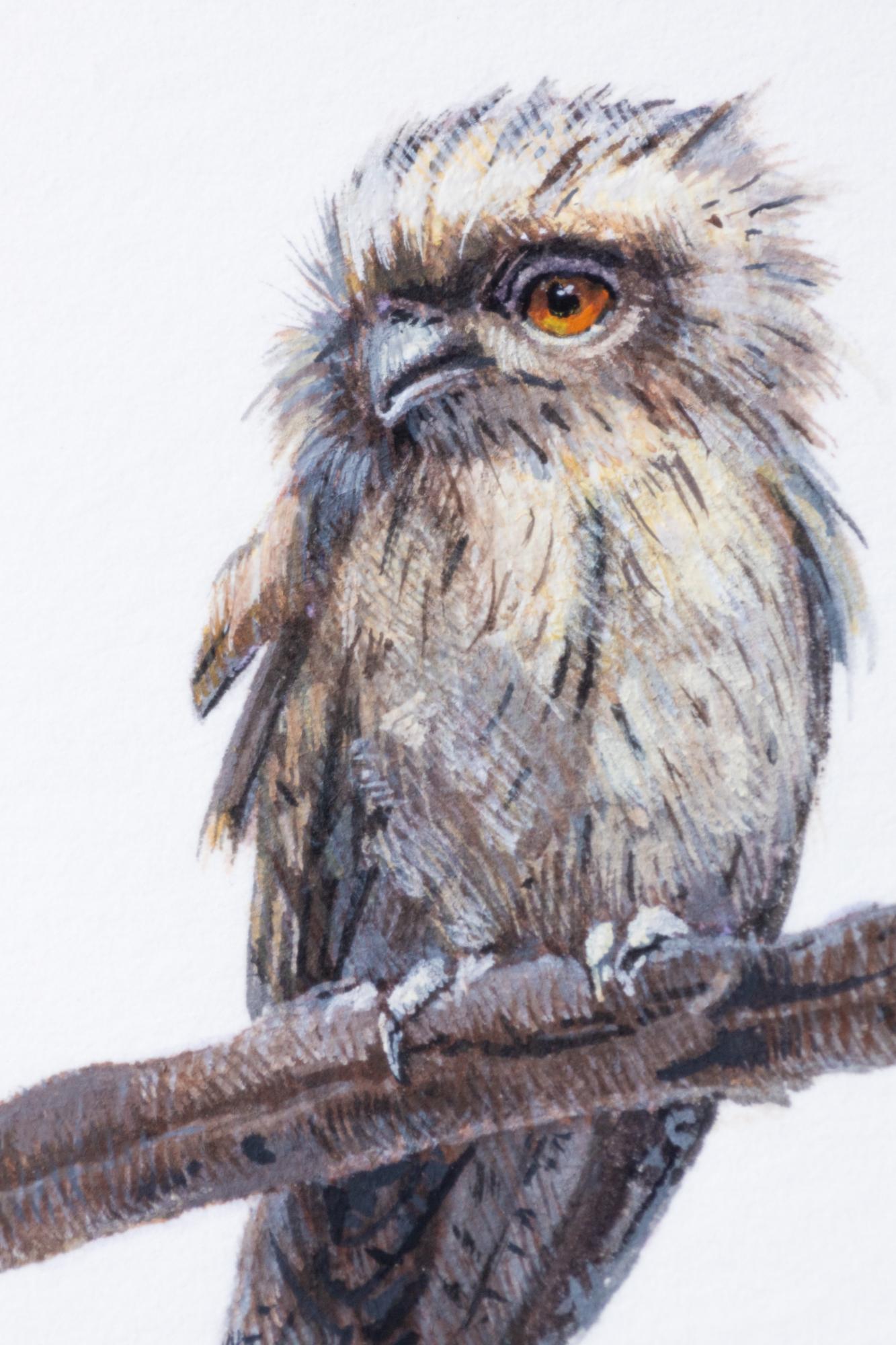 Tawny Frogmouth - Contemporary Painting by Dina Brodsky