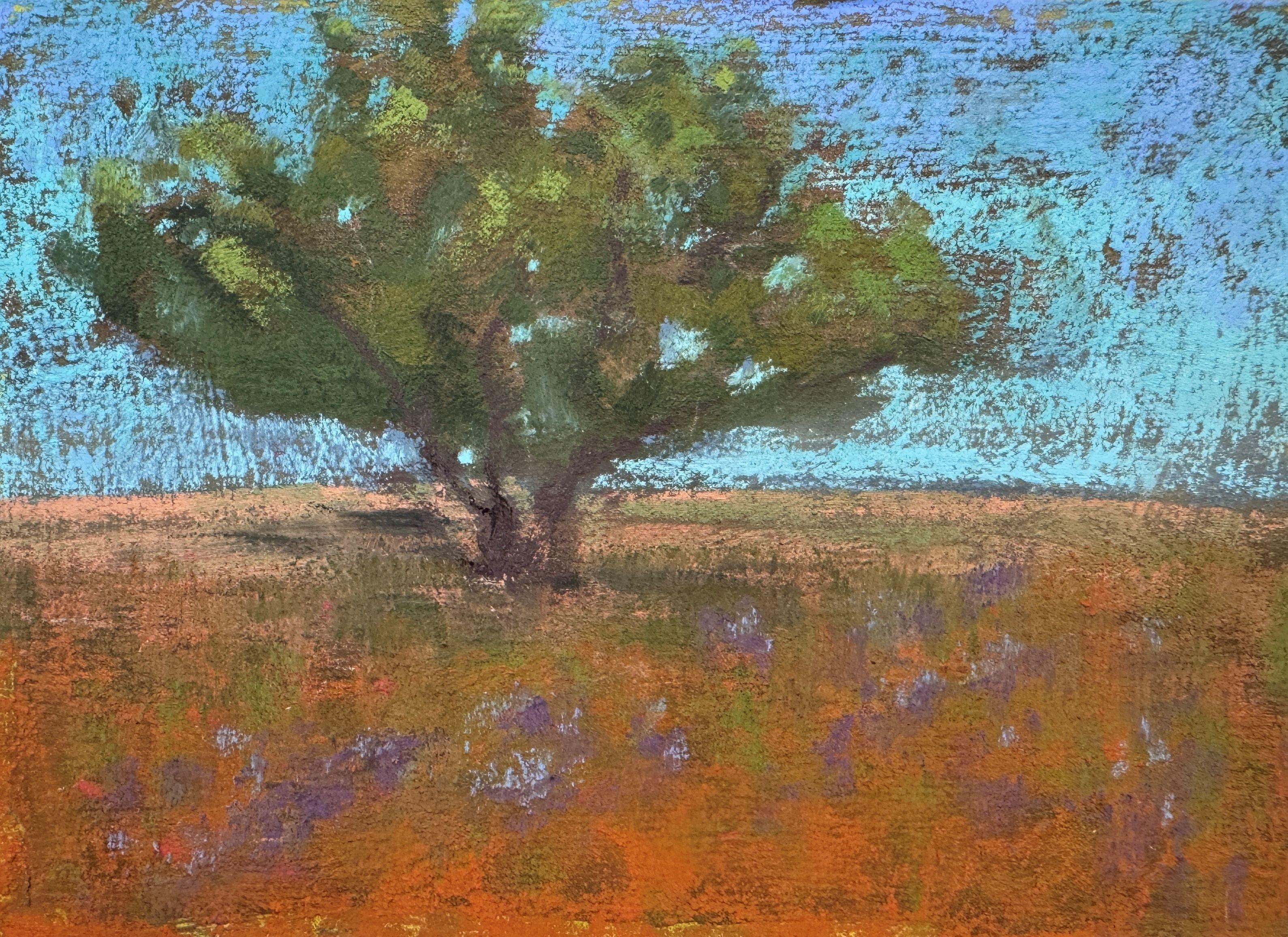Landscape Painting Dina Gardner - Going Solo - Peinture impressionniste française de paysage au pastel