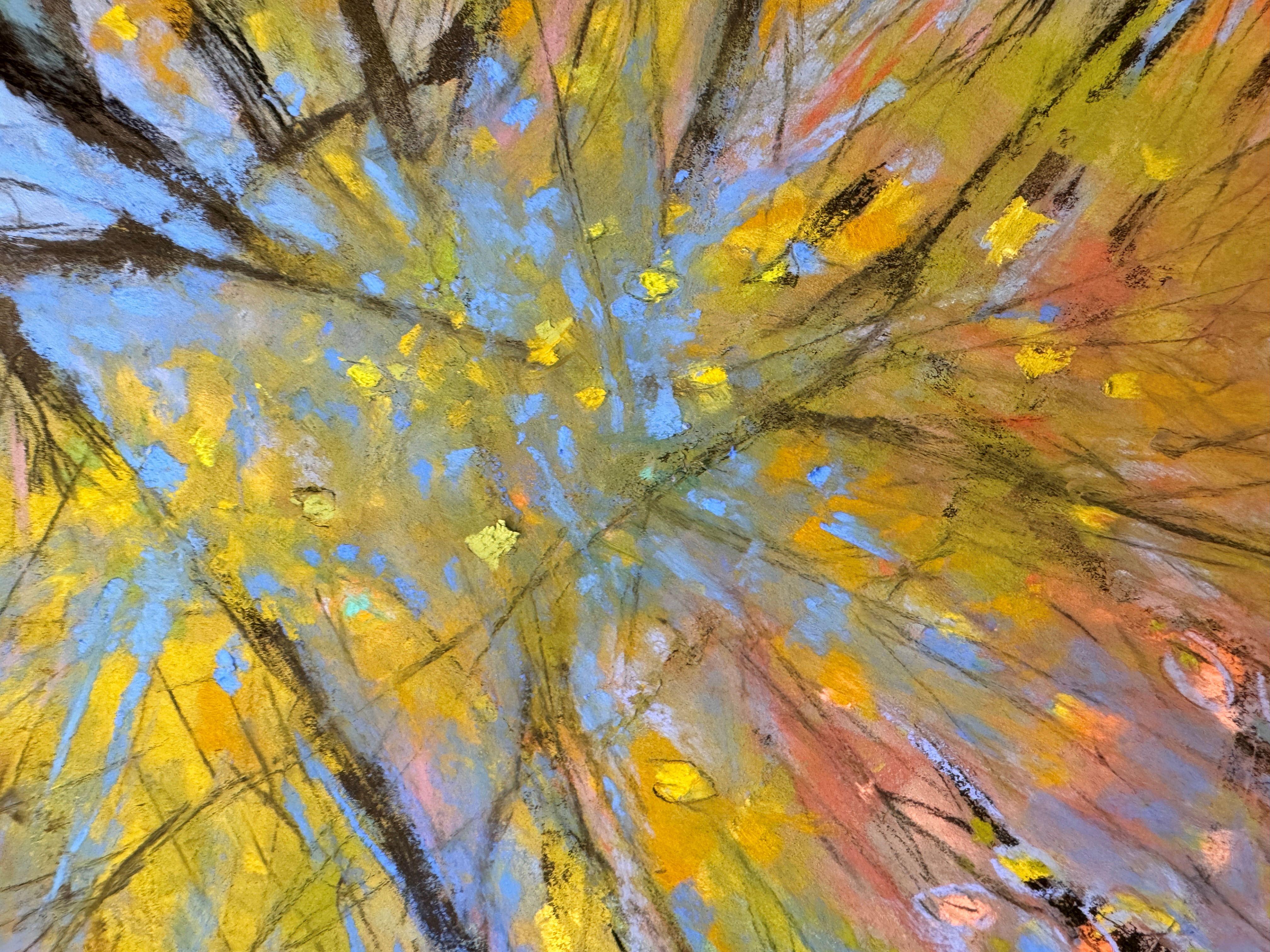 Majestic Reflections
12.0 x 16.0 x 1.0, 2.0 lbs 
Pastel on archival paper
Hand signed by artist 

Artist's Commentary: 
