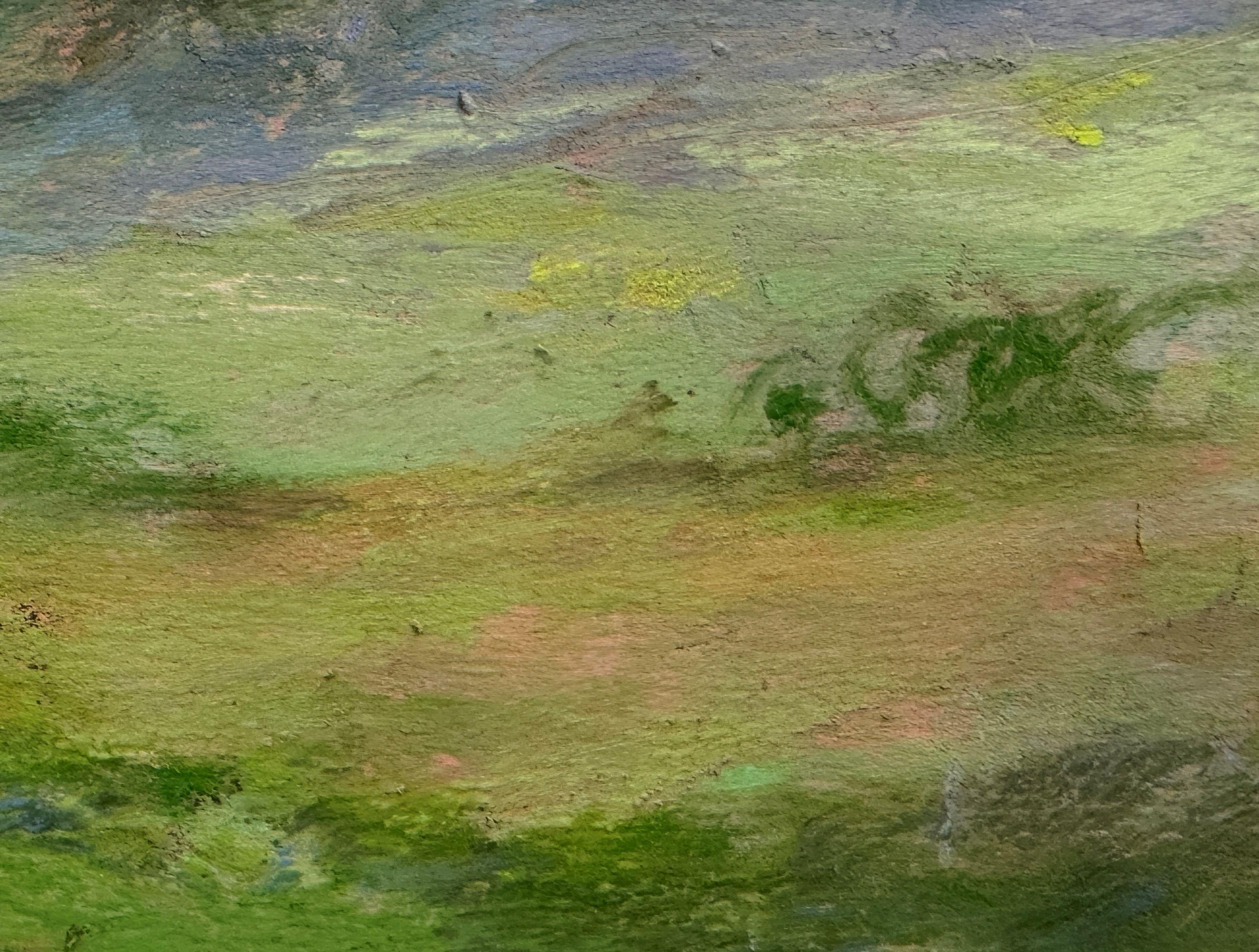 Sky High 1
8.0 x 10.0 x 2.0, 6.0 lbs 
Pastel sur papier d'archivage
Signé à la main par l'artiste 

Commentaire de l'artiste : 
**Cette peinture est encadrée professionnellement dans un cadre en bois doré chaud avec un verre antireflet Tru Vue**.
