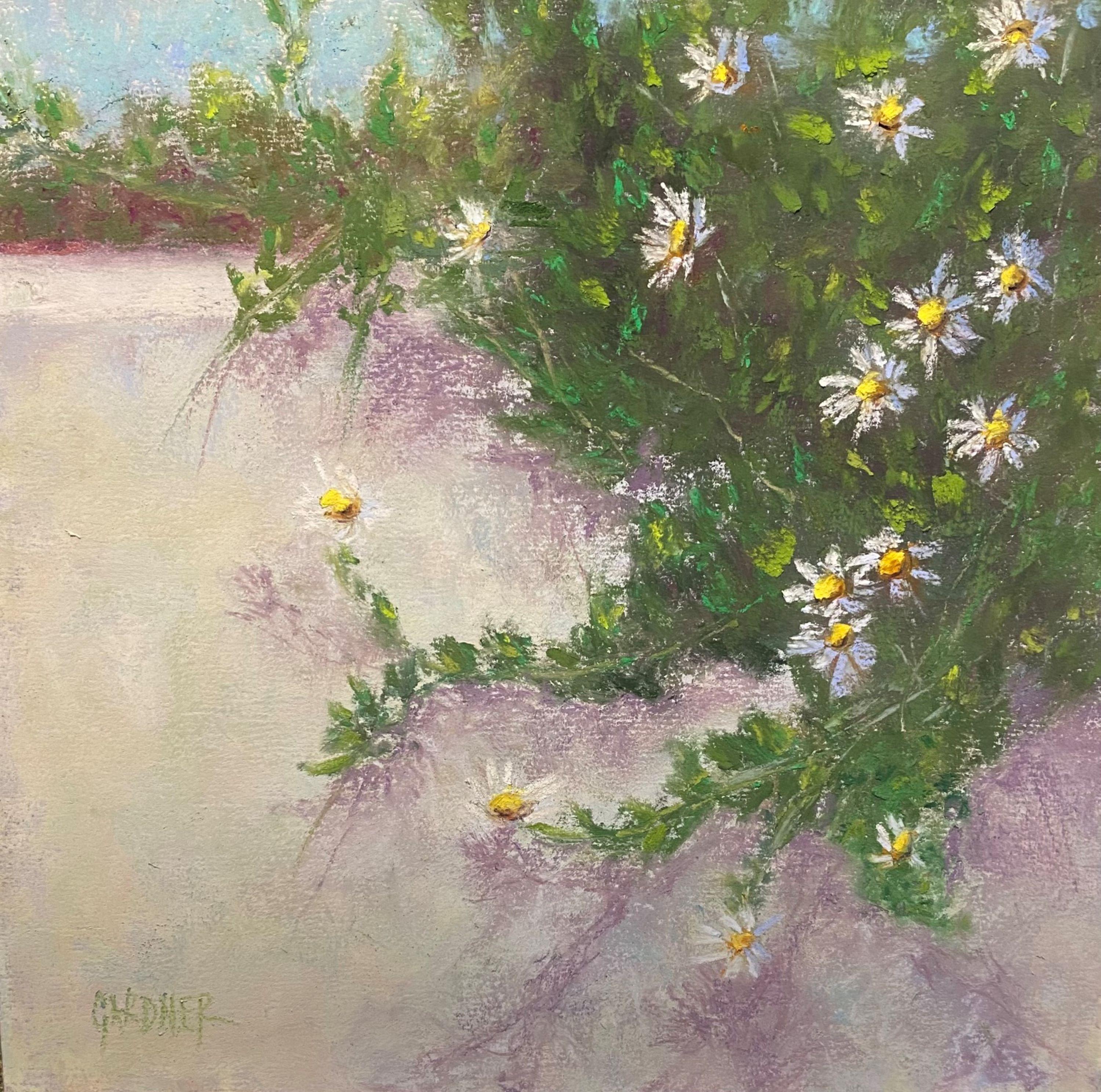 Landscape Painting Dina Gardner - Peinture murale - Daisies au pastel