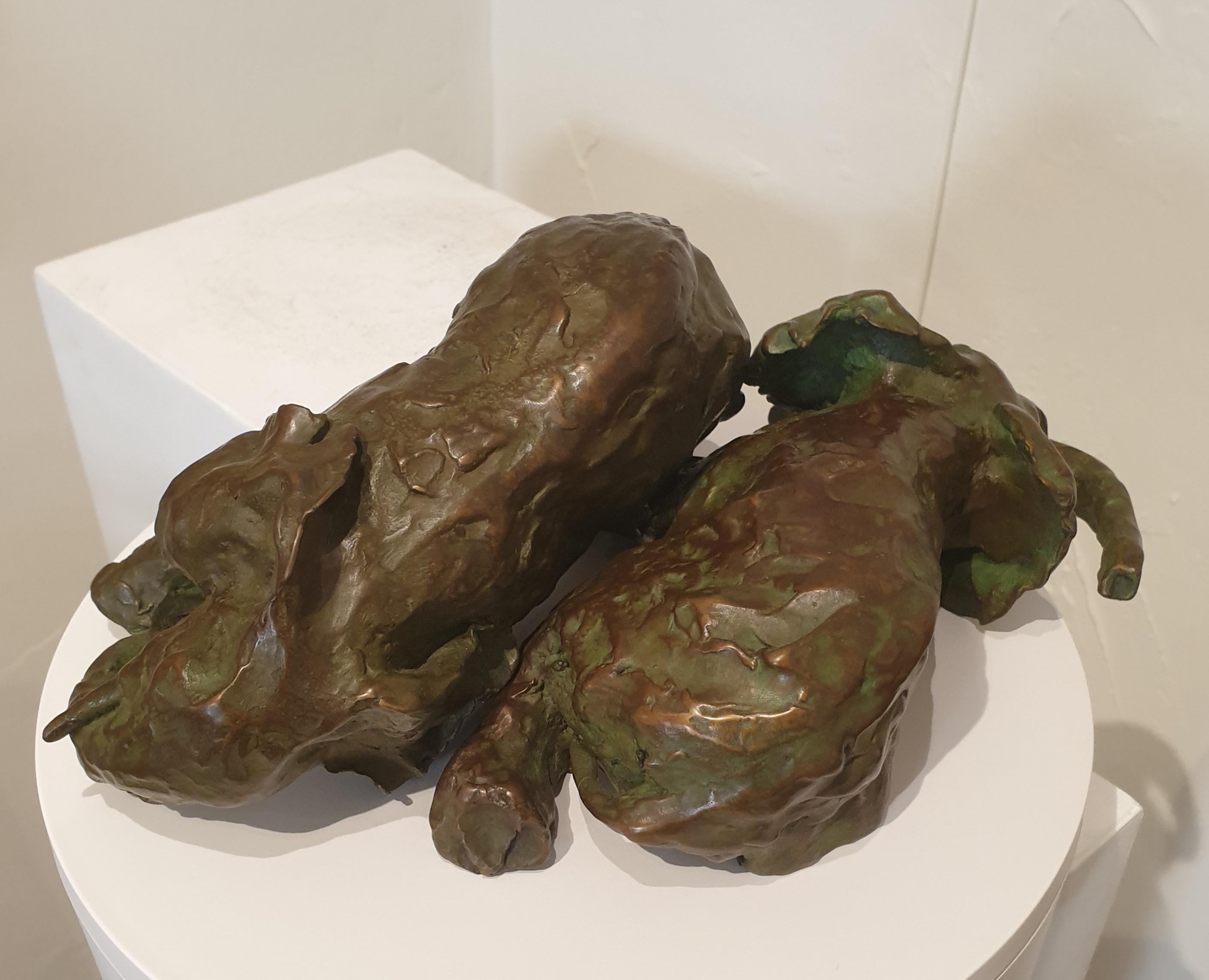 Pareja de elefantes jugando. Escultura de bronce patinado. - Sculpture Moderno de Dinah Neill