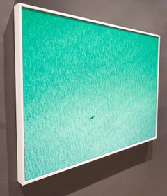 The Shark, Key West, FL, 2018