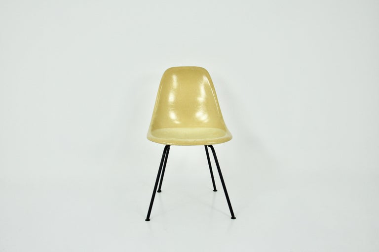 Central American Dining Chair by Charles and Ray Eames for Herman Miller, 1960s For Sale