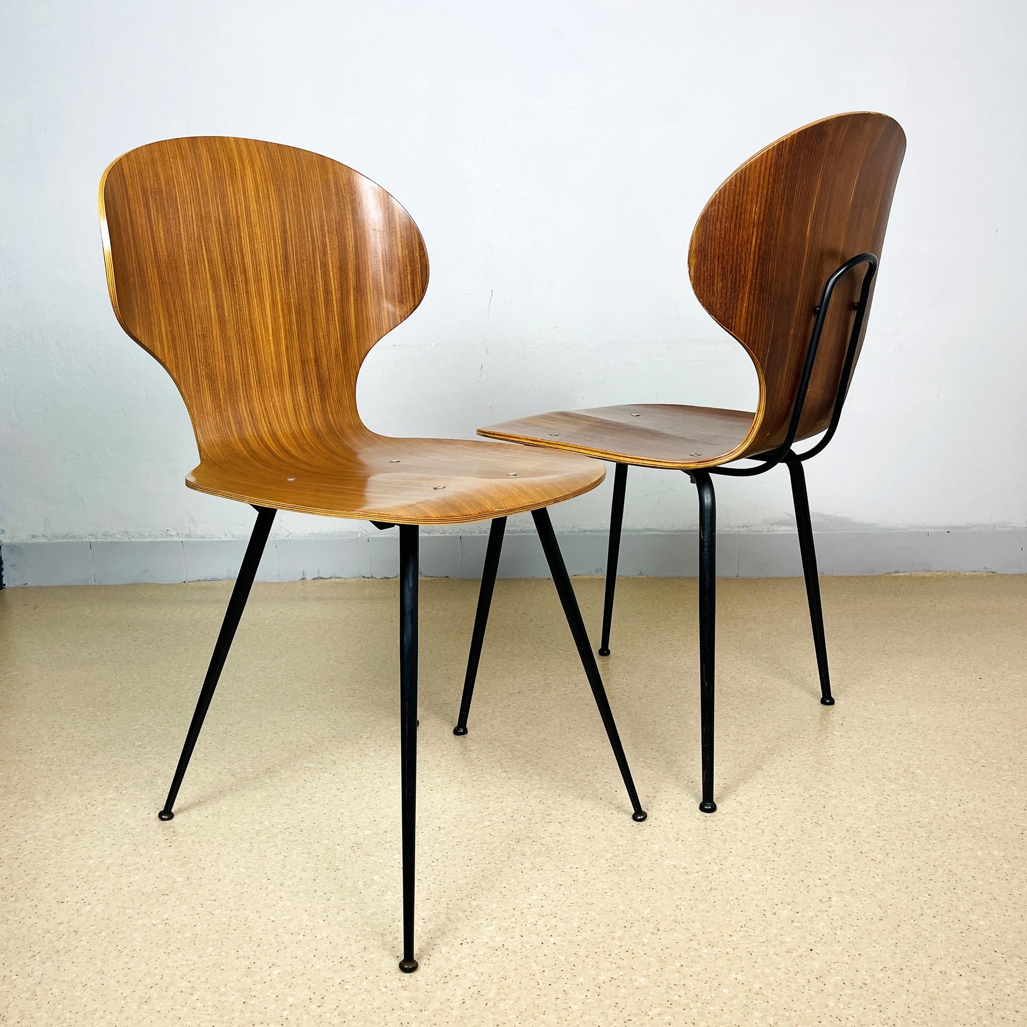 Mid-century dining chairs Lulli by Carlo Ratti for Industria Legni Curvati Lissone made in Italy in the 1970s. 
Shell in curved plywood, teak veneer, and particular legs in black painted iron. The chair was designed by Carlo Ratti in 1958.
The