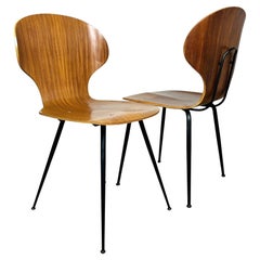 Retro Dining chair Lulli by Carlo Ratti for ILC Lissone Italy 70s Set of 2