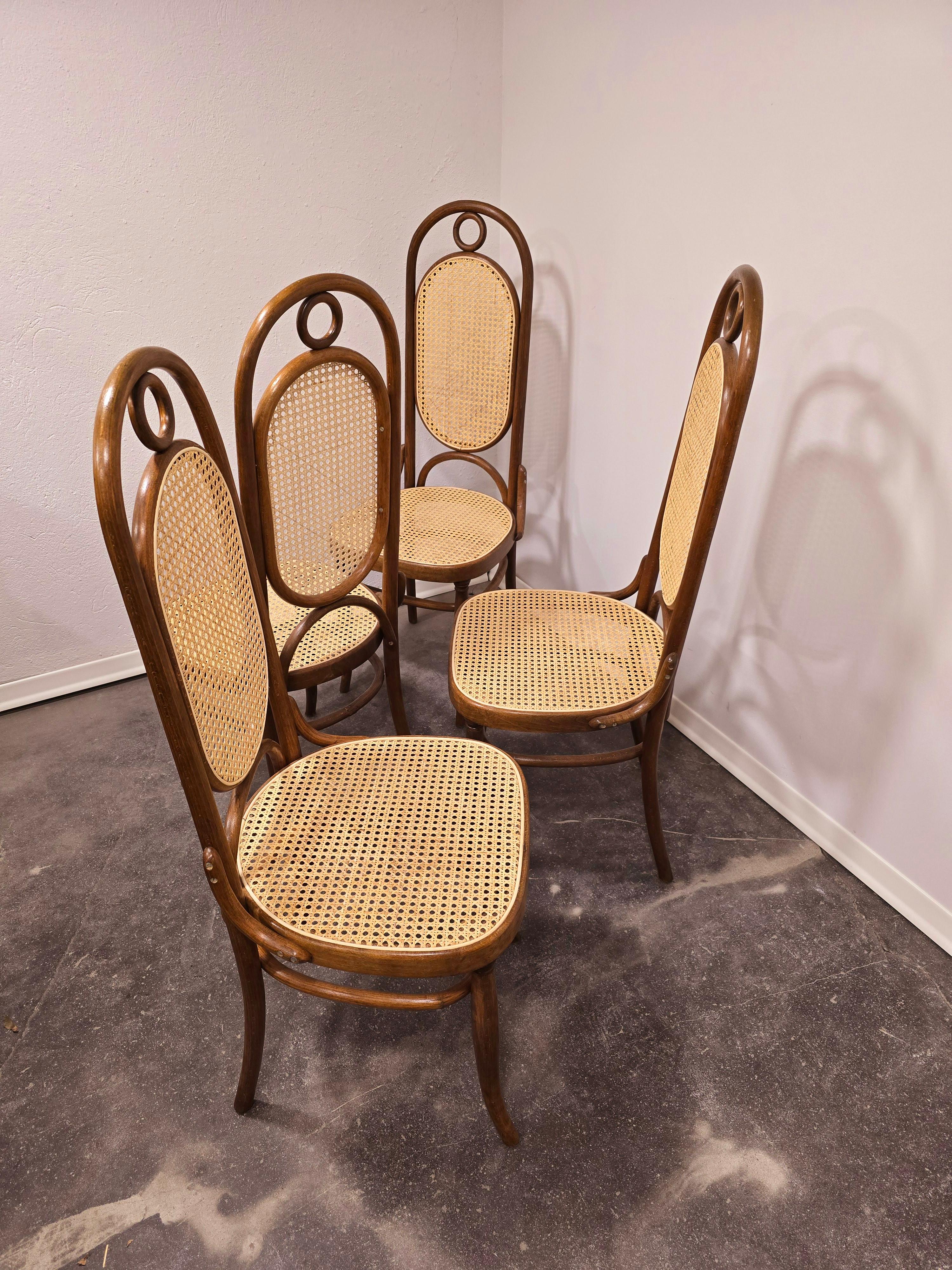Esszimmerstühle, Bugholz, M 17, hohe Rückenlehne, 1 von 4 im Angebot 3