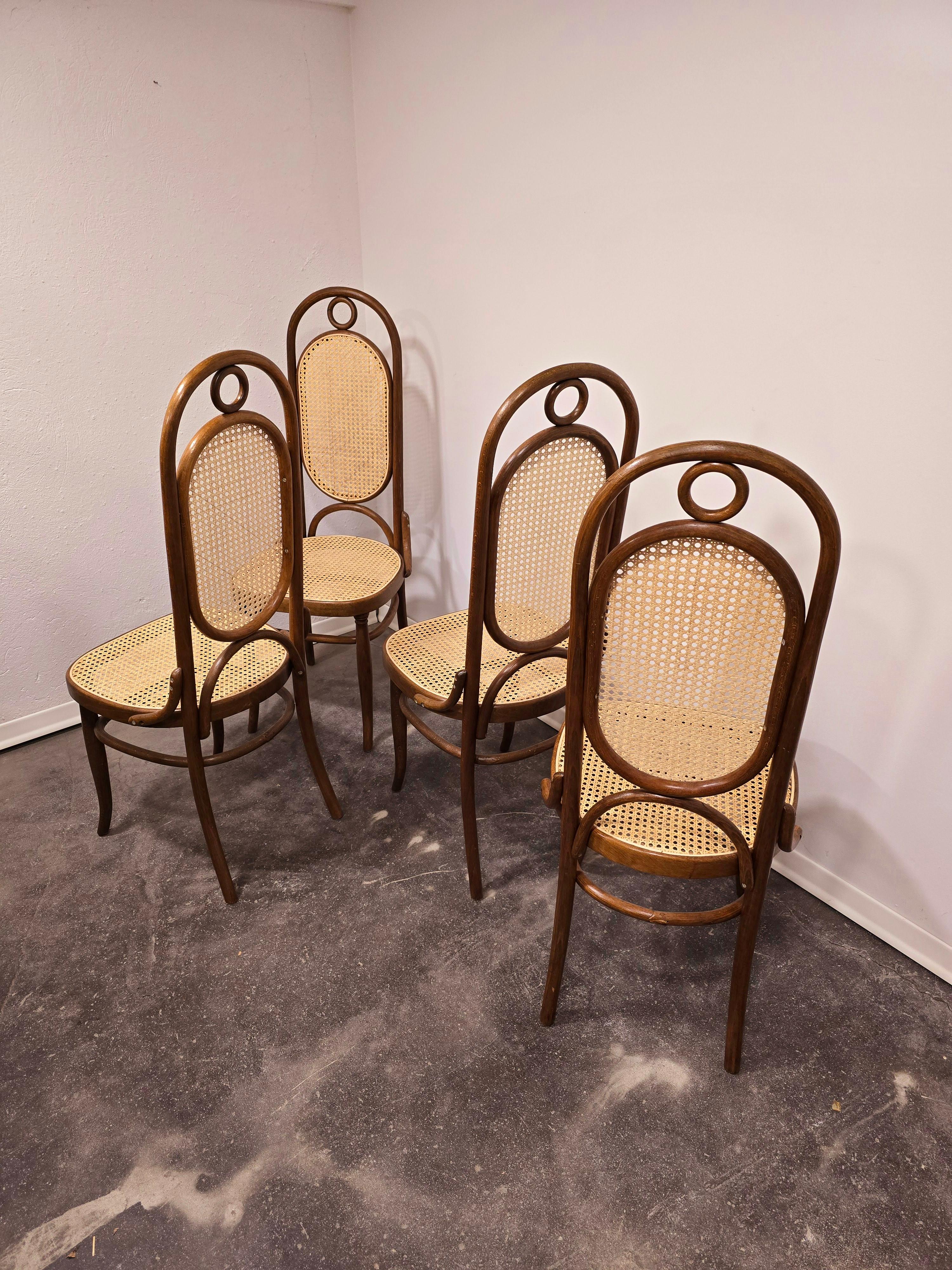 Esszimmerstühle, Bugholz, M 17, hohe Rückenlehne, 1 von 4 im Angebot 1