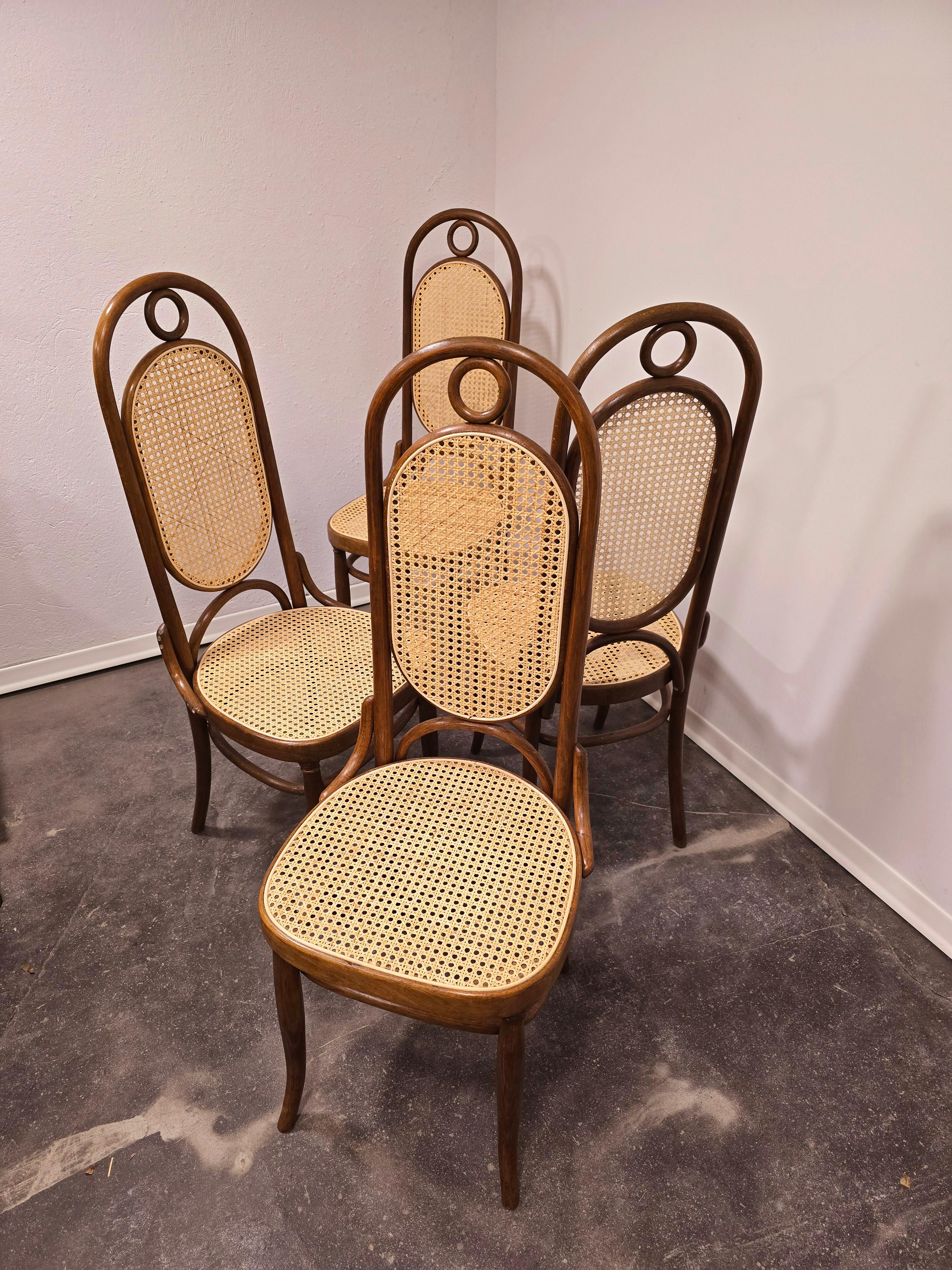 Esszimmerstühle, Bugholz, M 17, hohe Rückenlehne, 1 von 4 im Angebot 2