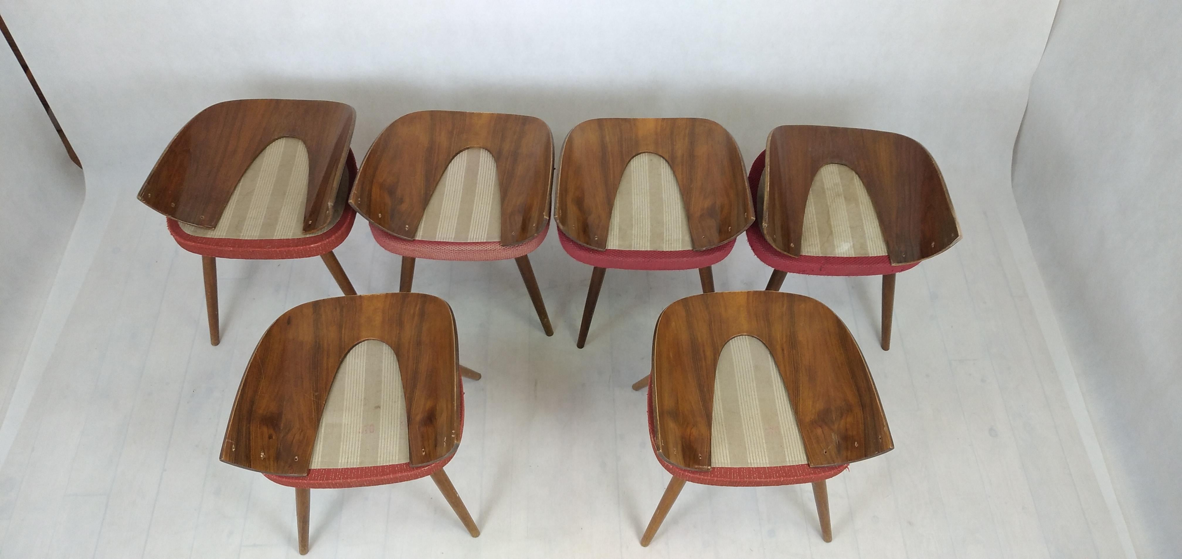 Set of 6 chairs designed by Antonin Suman and produced in Czechoslovakia in 1960's. Chairs made of beech wood, backs made of bent plywood with walnut veneer. Chairs in original condition, to be restored, visible scratches in varnish, worn