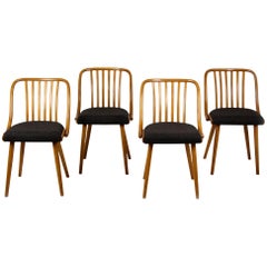 Dining Chairs by Antonin Suman, 1960s, Set of Four
