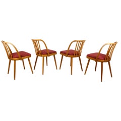 Chaises de salle à manger Antonin Suman, années 1960, ensemble de quatre