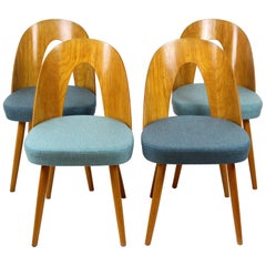 Dining Chairs by Antonin Suman for Mier, 1960s, Set of Four