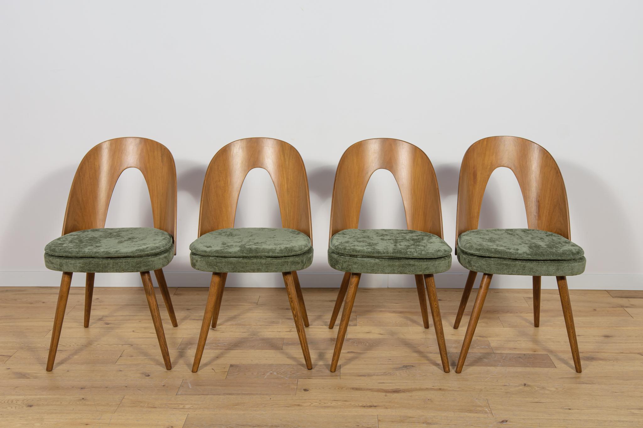 Conjunto de 4 sillas de comedor vintage de Antonin Suman para Tatra en la década de 1960. Sillas de madera de haya, respaldos chapados en madera de nogal. Los elementos de madera se han limpiado de la superficie antigua y se han pintado con tinte de