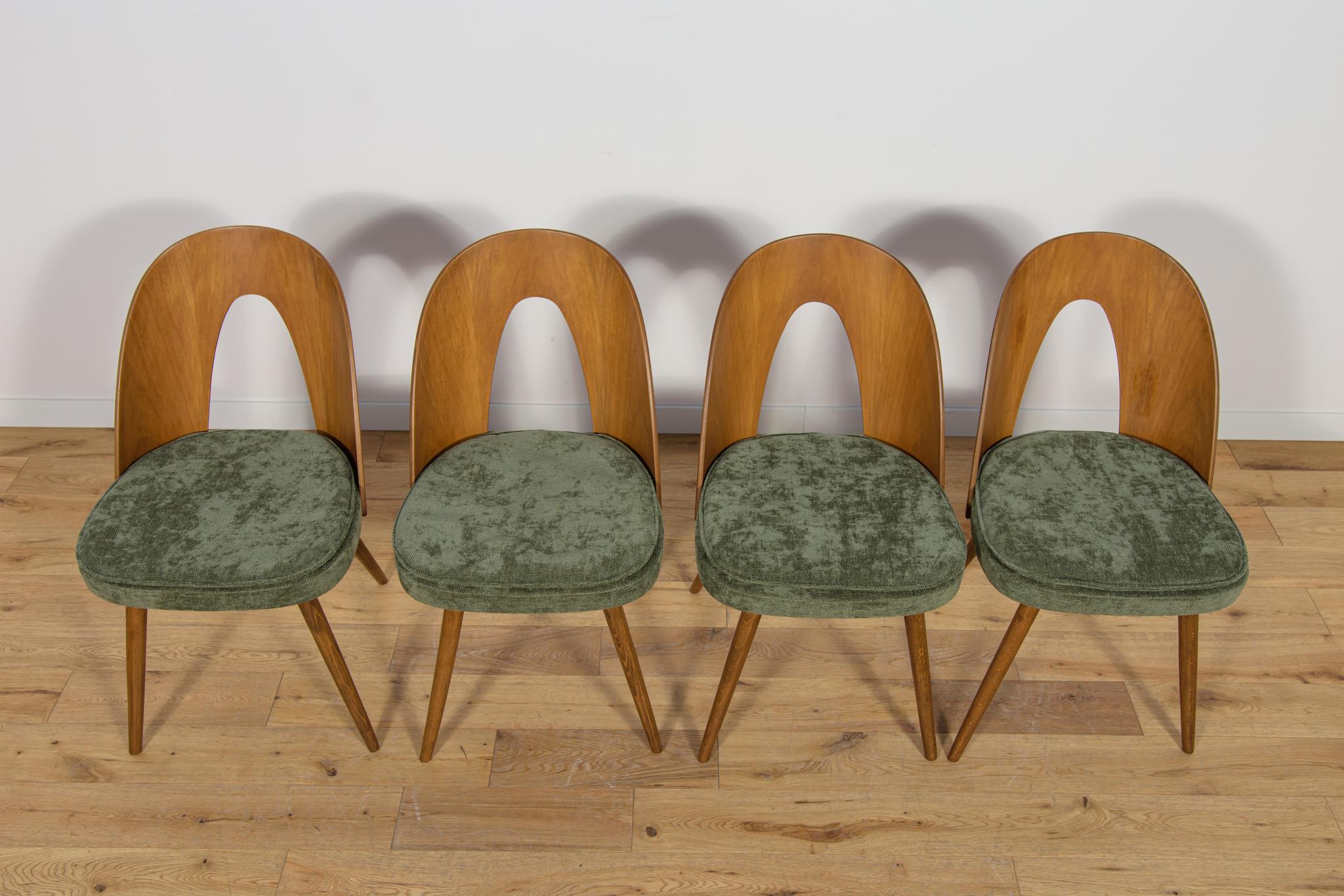 Sillas de comedor de Antonín Šuman para Tatra, Años 60, Juego de 4 Moderno de mediados de siglo en venta