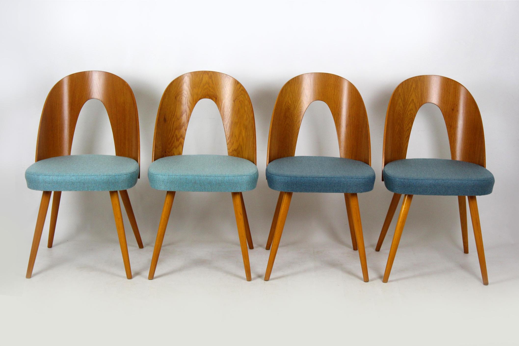 Set of four chairs designed by Antonin Suman circa 1960 and produced in former Czechoslovakia. 
Made of lacquered plywood with ash veneer. Seats upholstered with new blue and turquoise fabric upholstery.