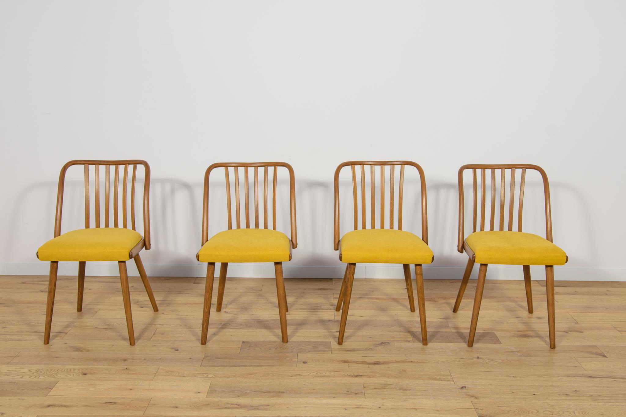 Set di 4 sedie da pranzo vintage di Antonin Suman per TON. Dagli anni '60. Sedie in legno di faggio. Gli elementi in legno sono stati ripuliti dalla vecchia superficie, verniciati con un mordente color Oak e rifiniti con una lacca stronq semi-opaca.