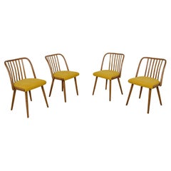 Dining Chairs by Antonín Šuman for Ton, 1960s, Set of 4