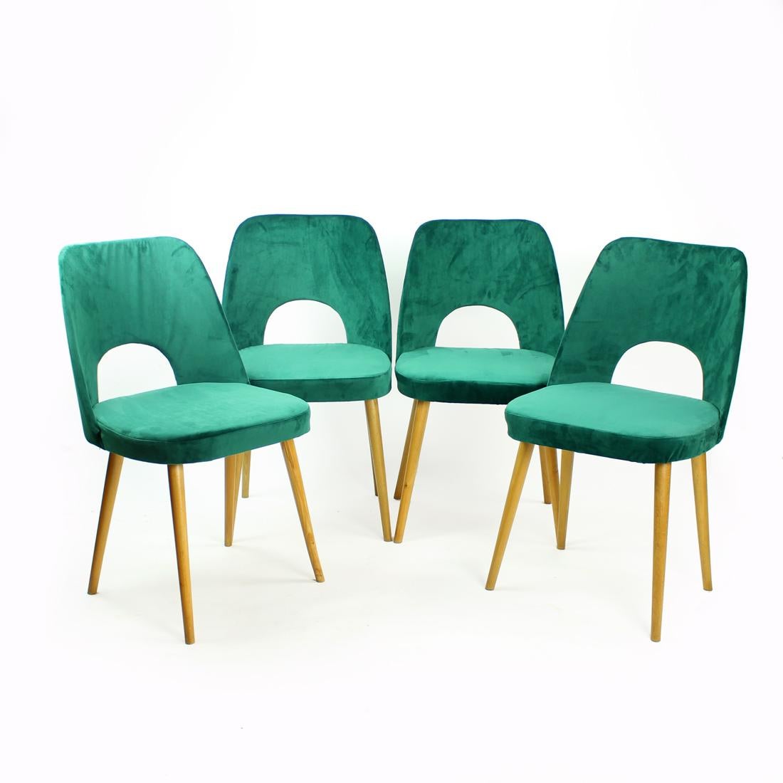 Beautiful set of 4 dining chairs in new velvet upholstery and after a complete restoration.
The chairs were designed by Oswald Haerdtl for TON (Thonet) in the 1950s, produced in Czechoslovakia.
Typical mid-century design. Backrest in bent plywood,