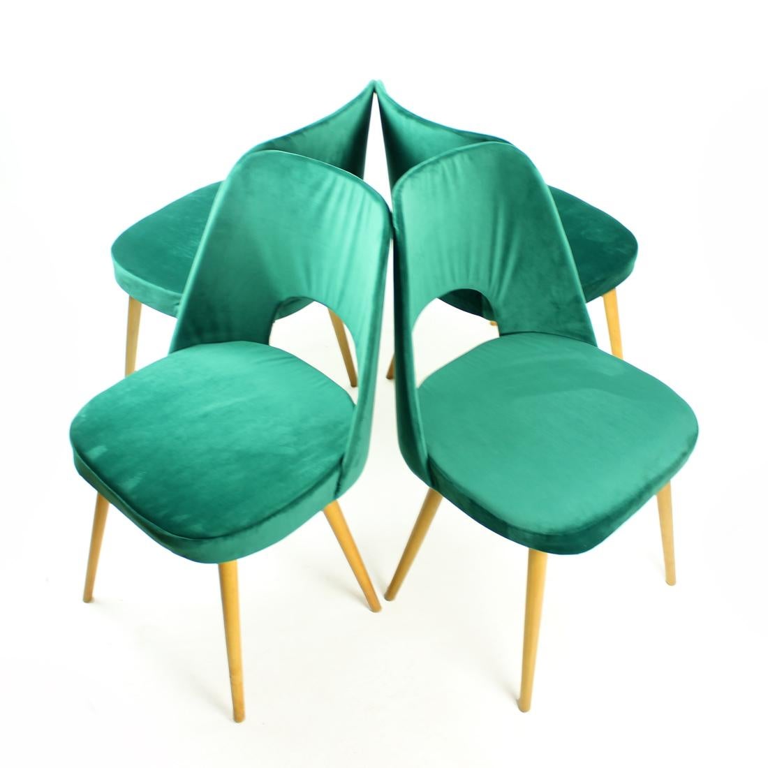 Dining Chairs by Oswald Haerdtl in Velvet for Ton, Czechoslovakia 1950s For Sale 1