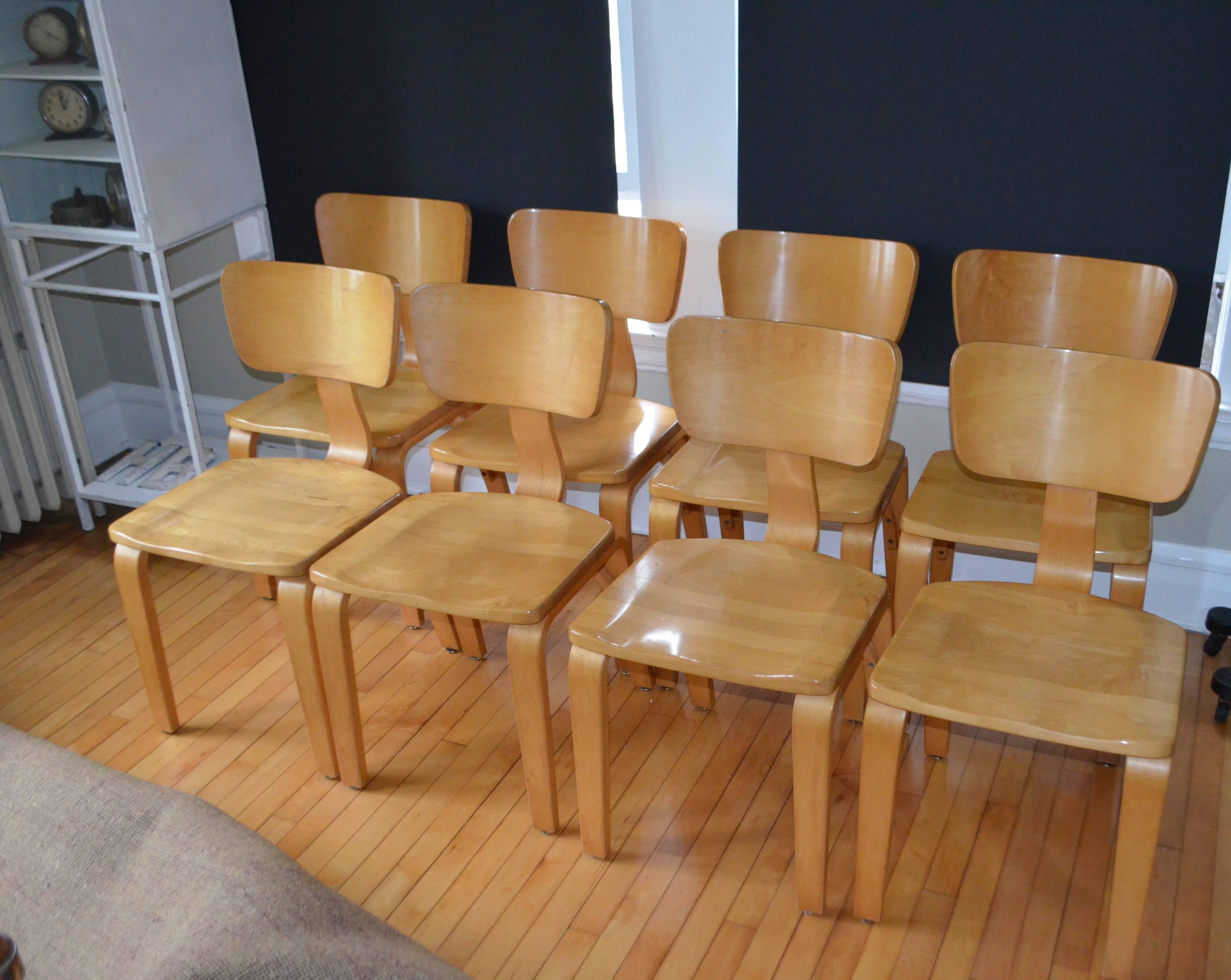Thonet dining chairs of rock maple and bent ply, set of eight.
Founded by a German cabinetmaker in the early 1800s, Thonet was the Pioneer and patent holder of the bentwood technique a process that uses heat and moisture to mold wood into
