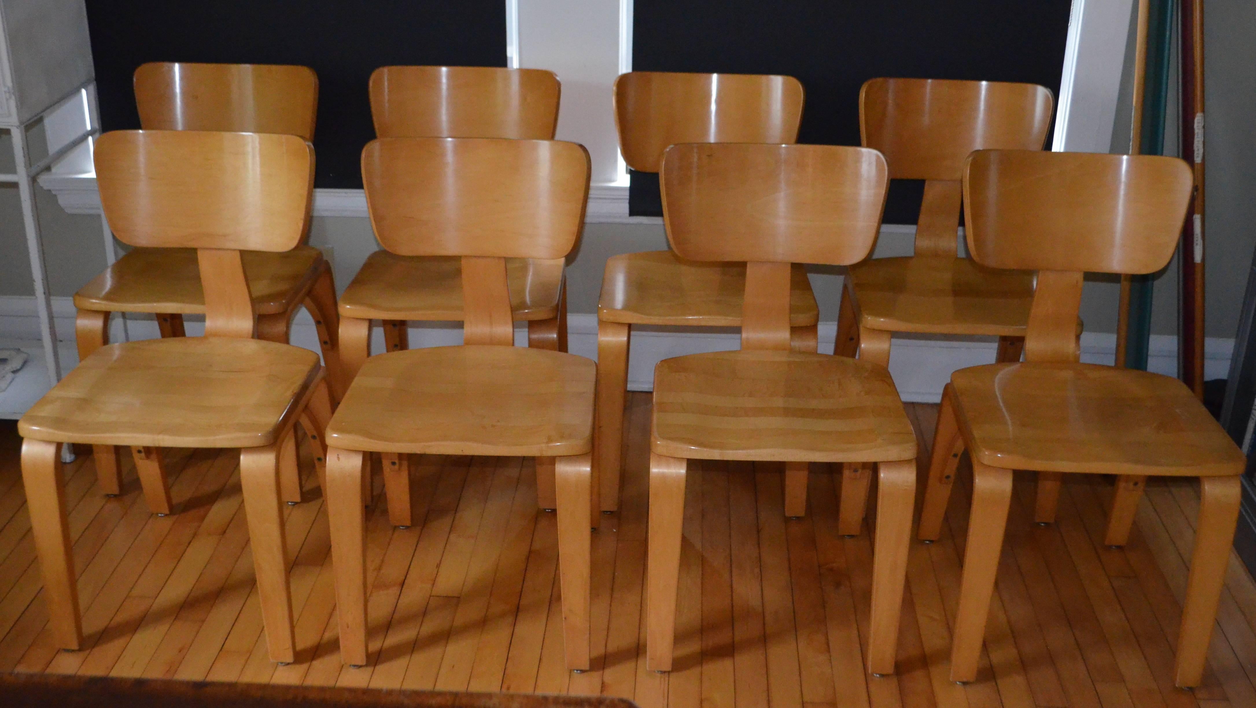 Mid-Century Modern Dining Chairs by Thonet of Rock Maple and Bentwood, Set of Eight For Sale