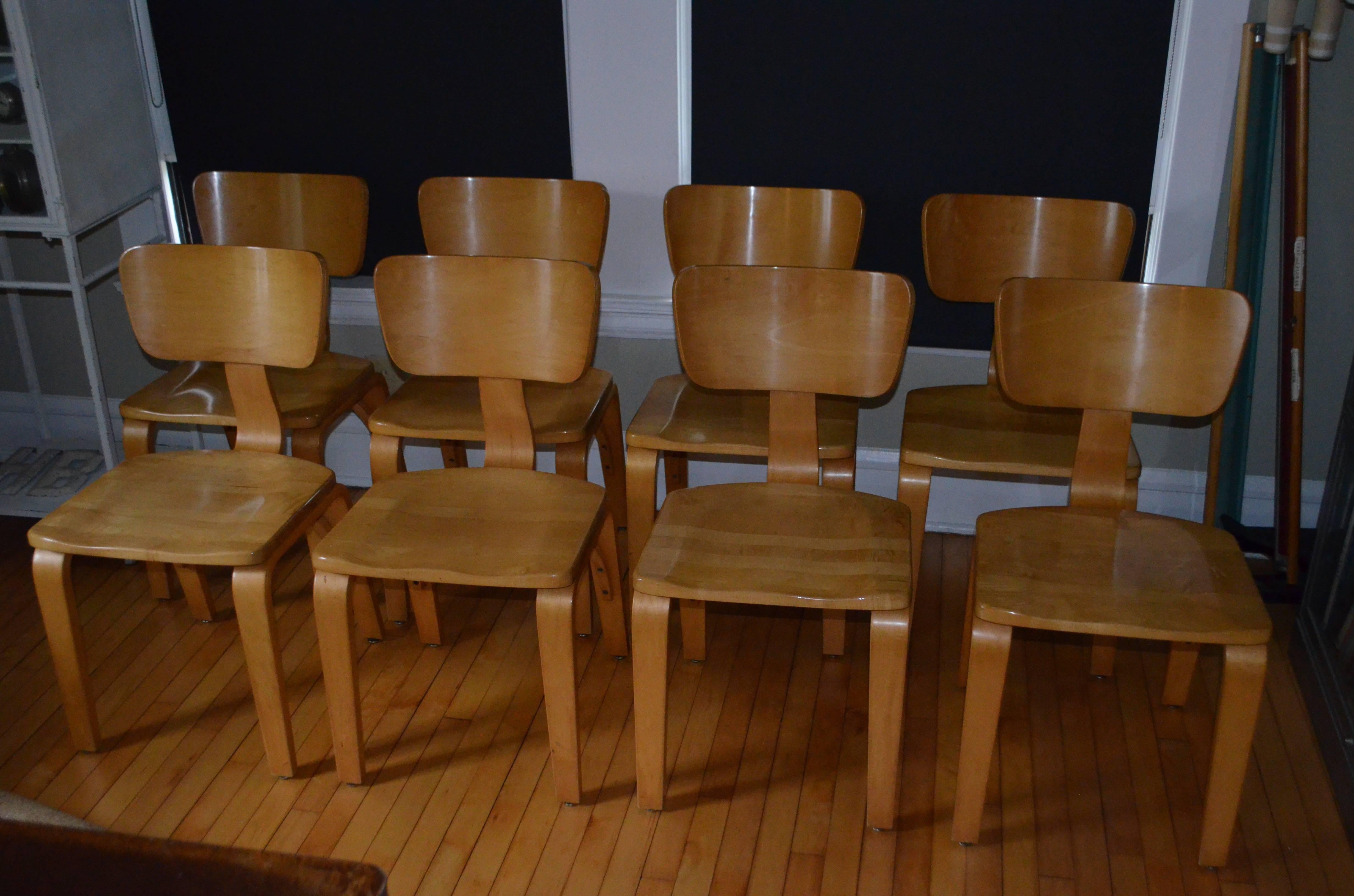 American Dining Chairs by Thonet of Rock Maple and Bentwood, Set of Eight For Sale