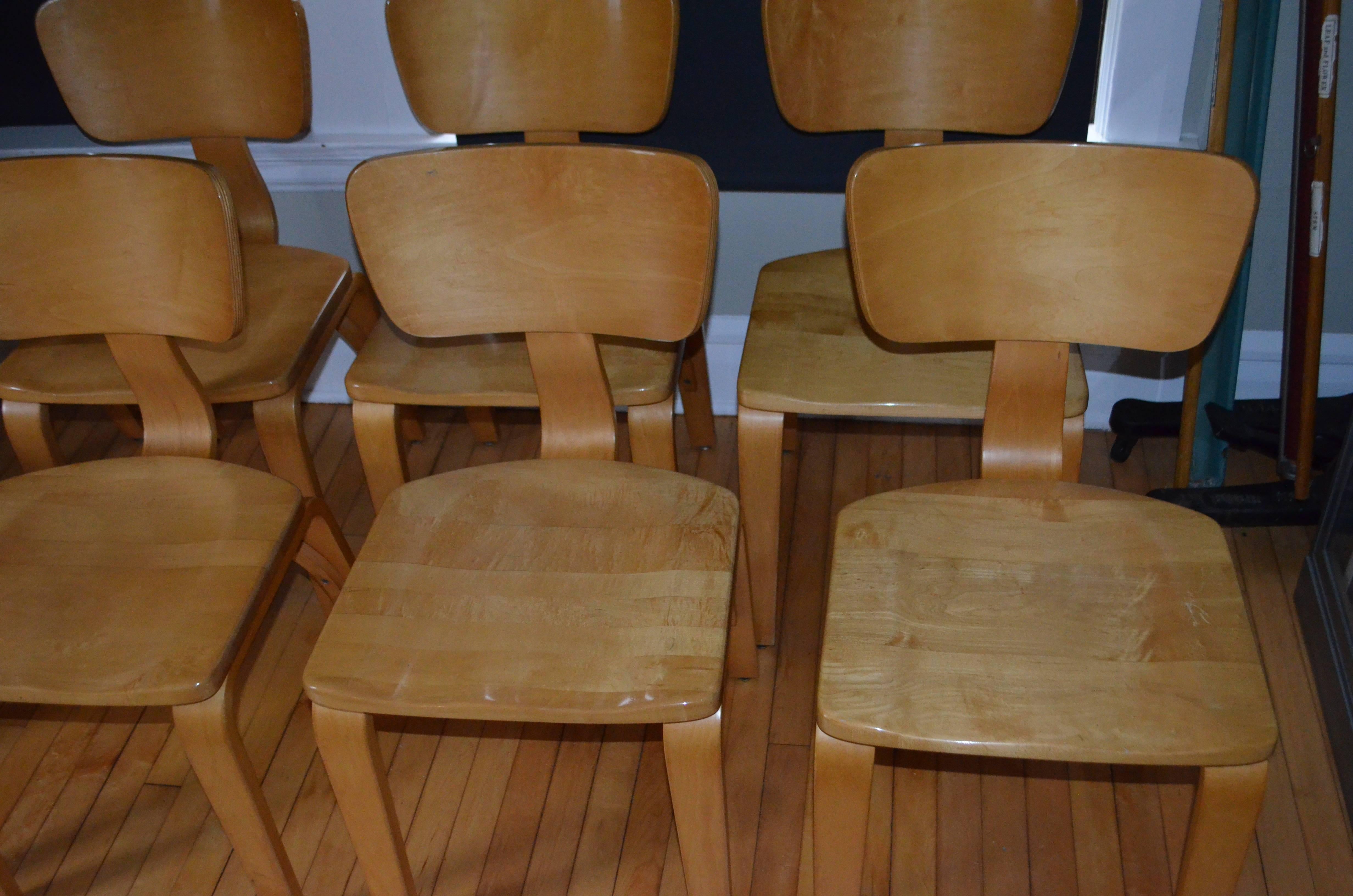 Dining Chairs by Thonet of Rock Maple and Bentwood, Set of Eight In Good Condition For Sale In Madison, WI