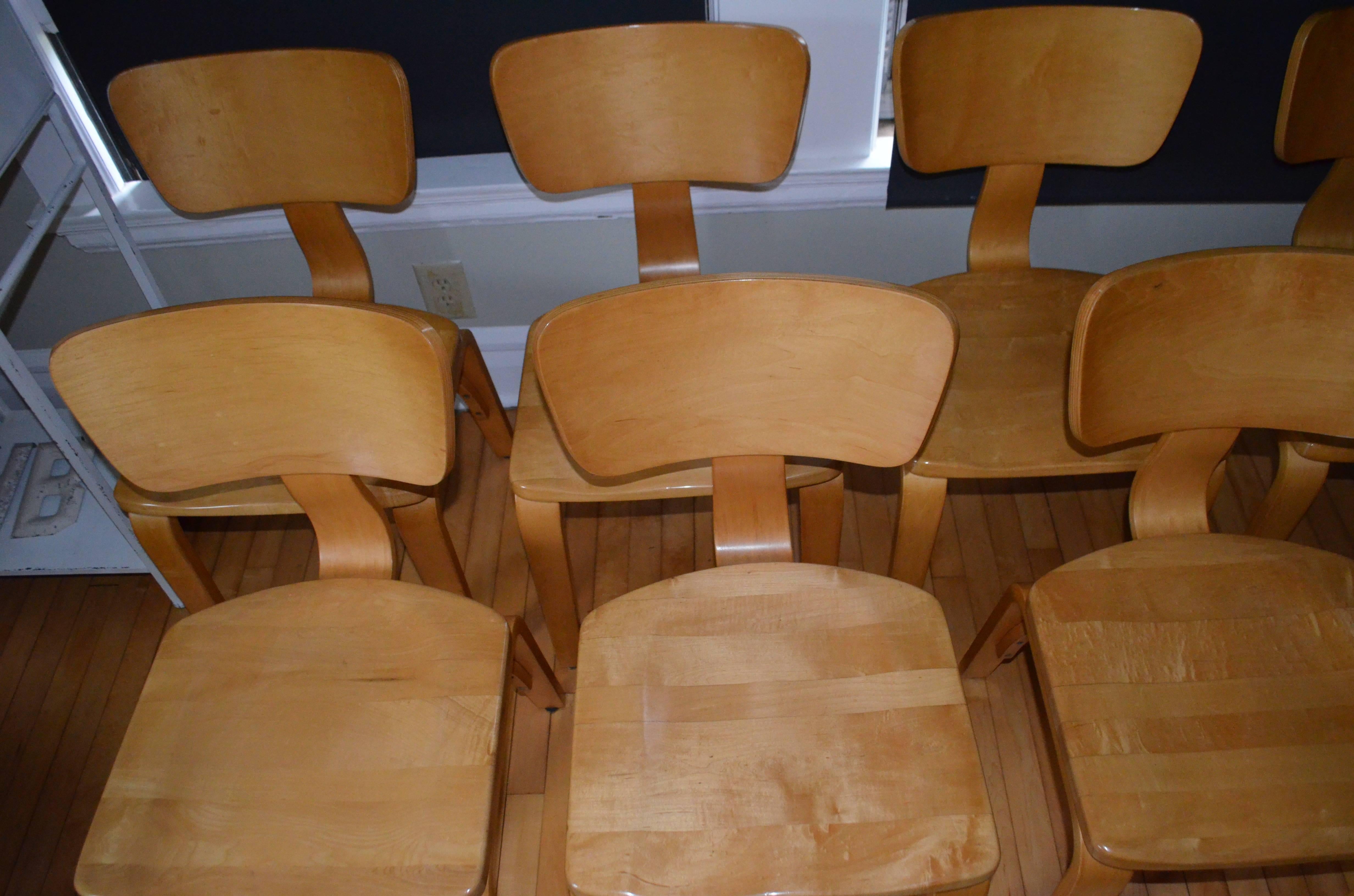 20th Century Dining Chairs by Thonet of Rock Maple and Bentwood, Set of Eight For Sale