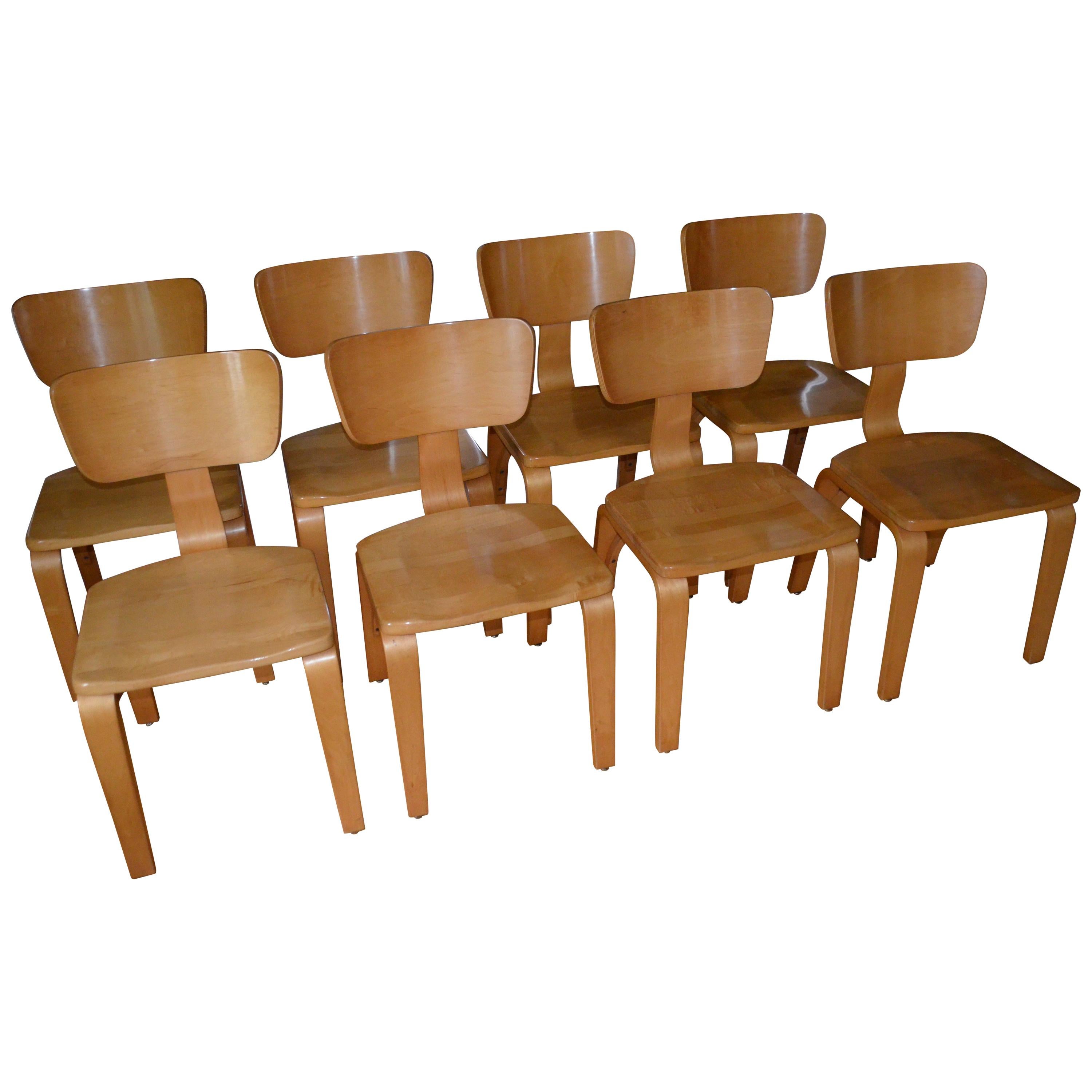 Dining Chairs by Thonet of Rock Maple and Bentwood, Set of Eight For Sale