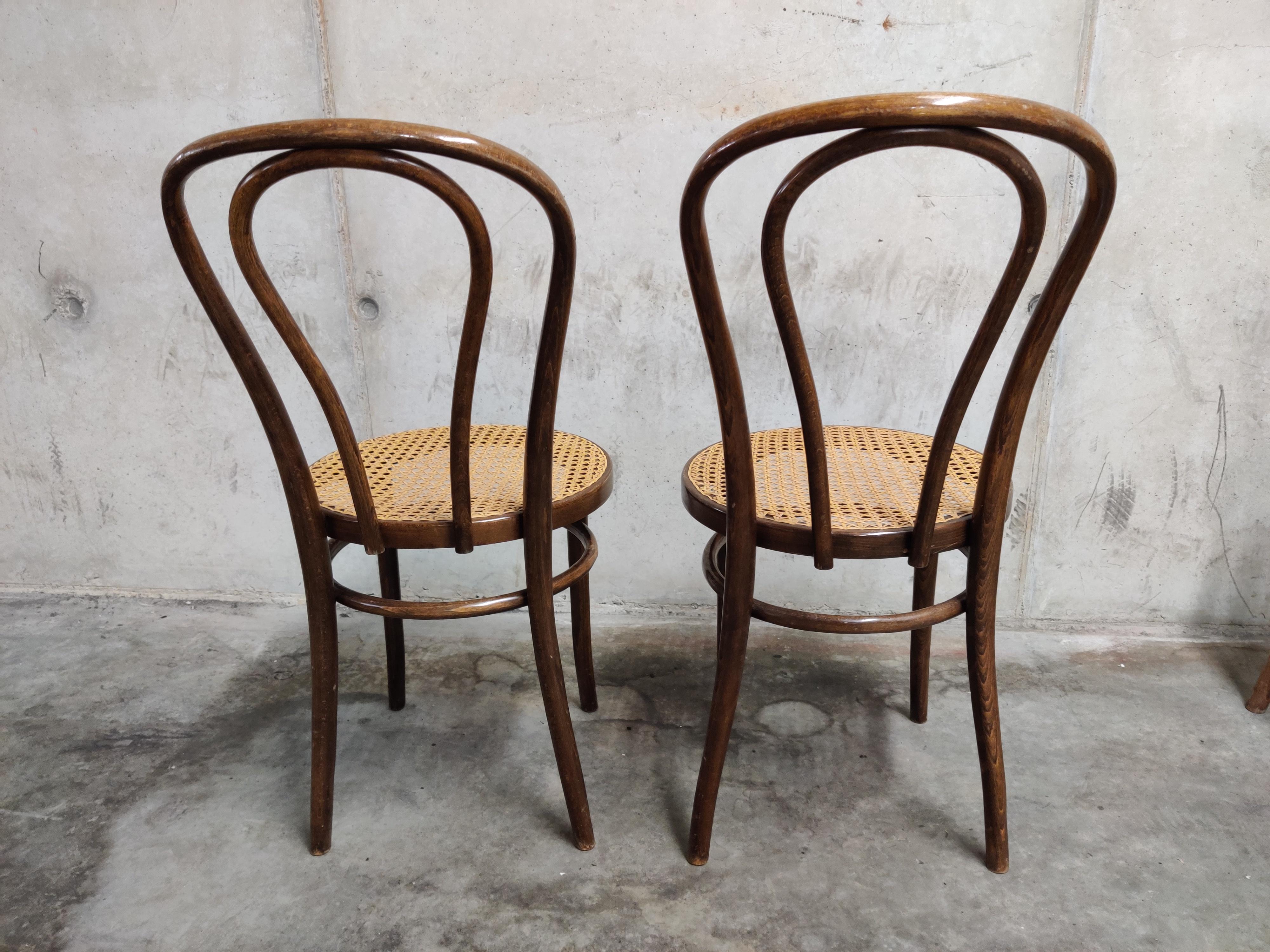 Polish Dining Chairs by ZPM Radomsko, 1950s, Set of 4