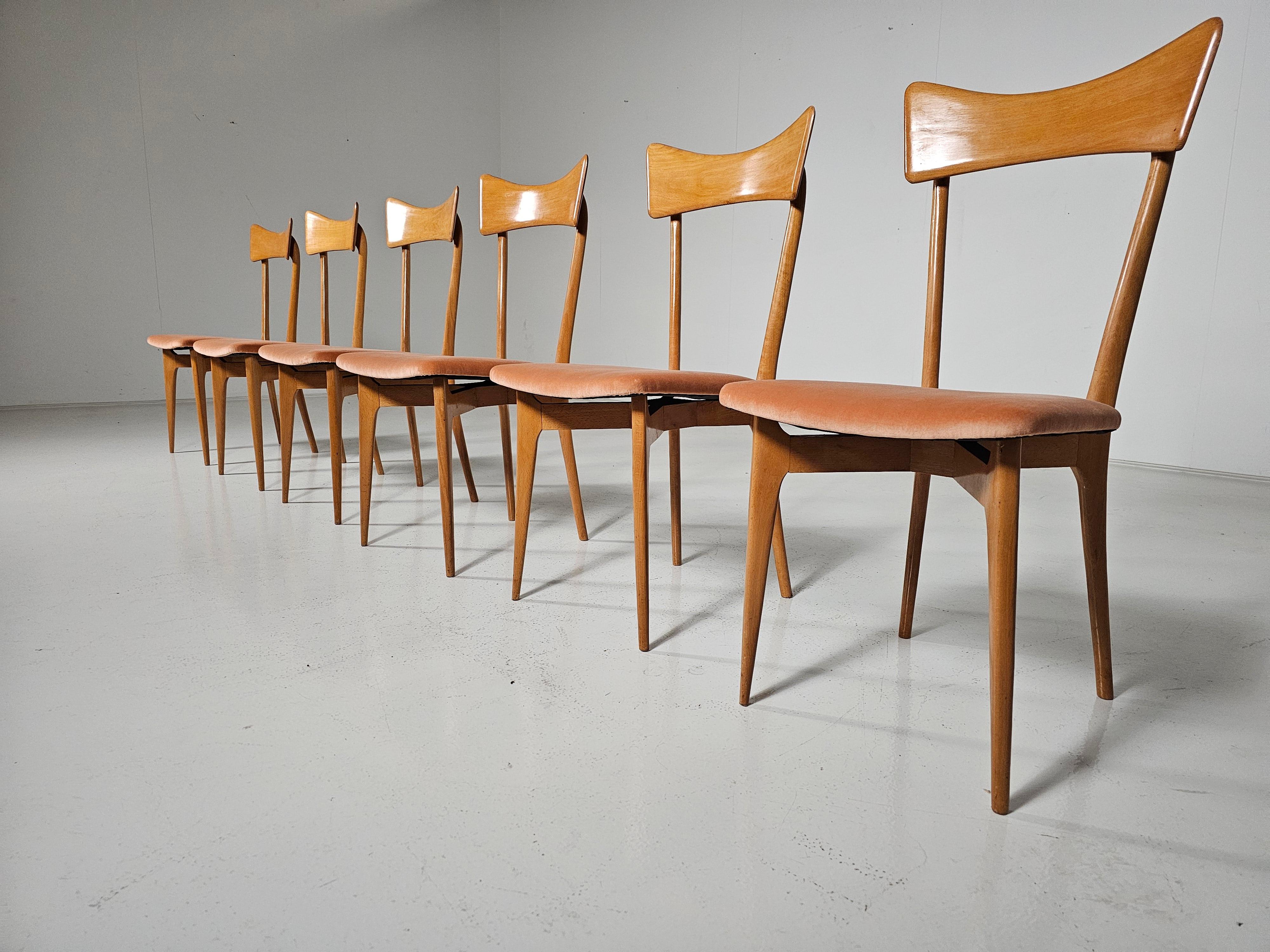 Mid-Century moderno Sedie da pranzo in velluto rosa di Ico Parisi per Ariberto Colombo, anni '50, Set di 6 in vendita