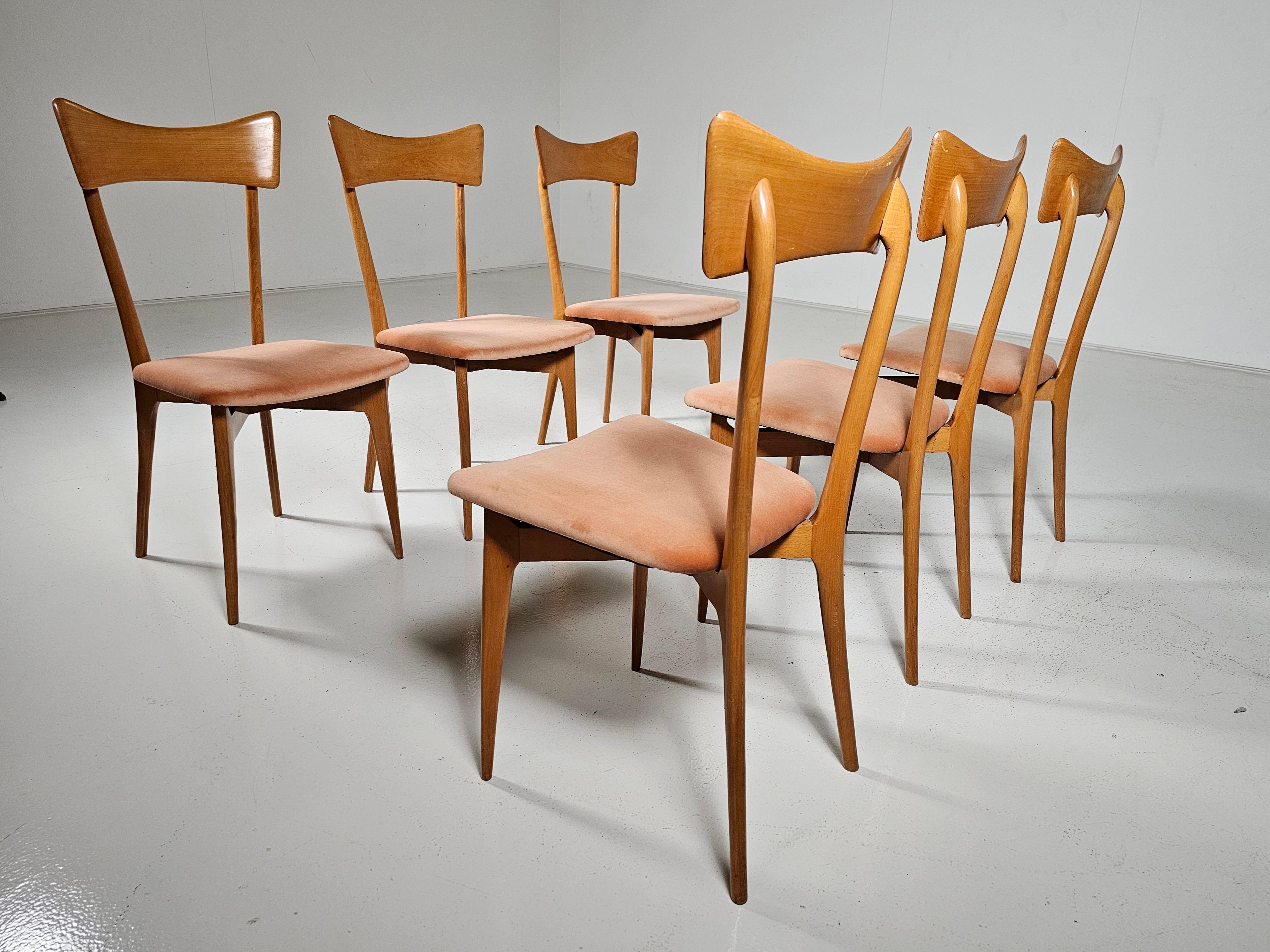 XX secolo Sedie da pranzo in velluto rosa di Ico Parisi per Ariberto Colombo, anni '50, Set di 6 in vendita