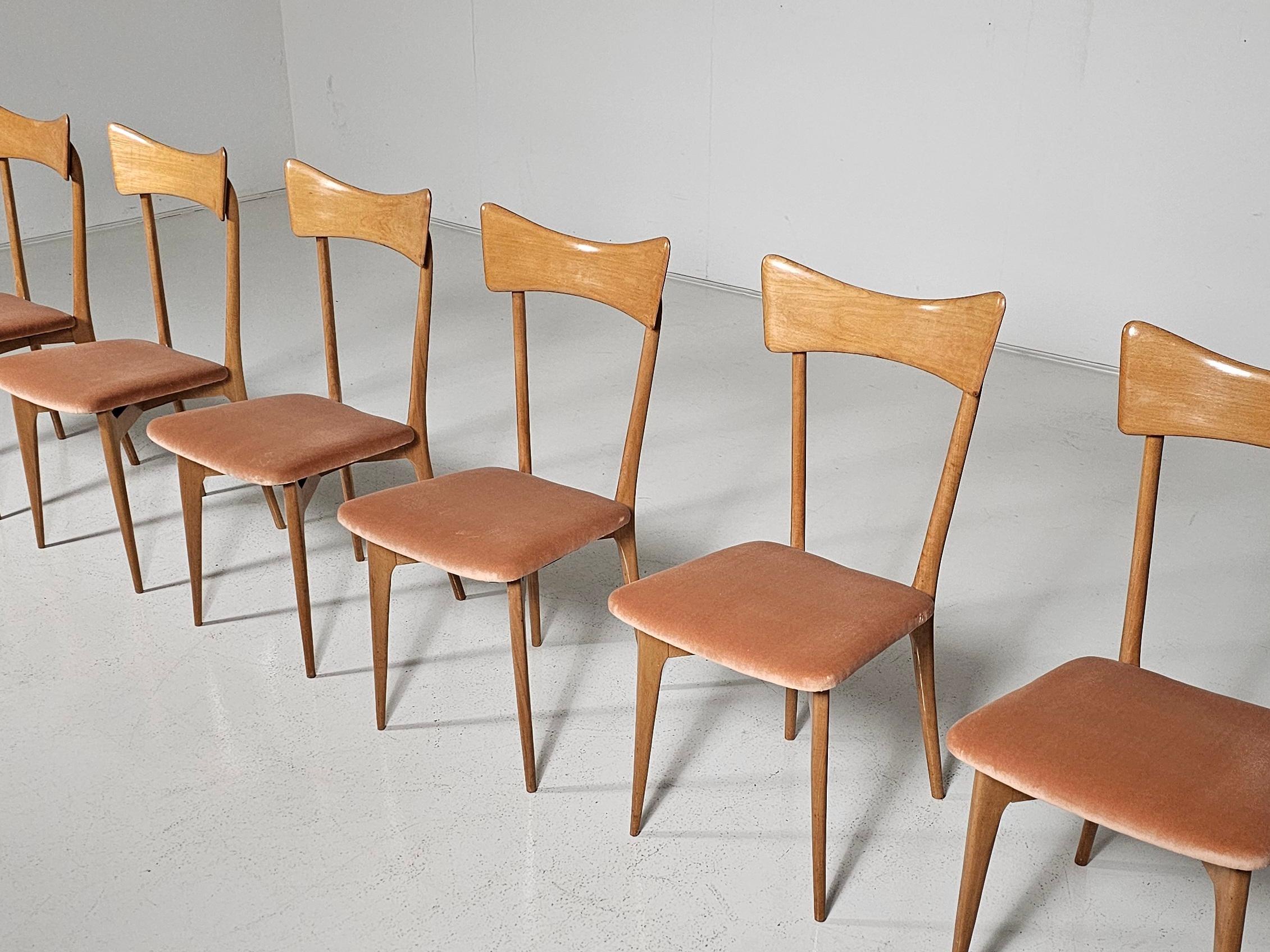 Noce Sedie da pranzo in velluto rosa di Ico Parisi per Ariberto Colombo, anni '50, Set di 6 in vendita