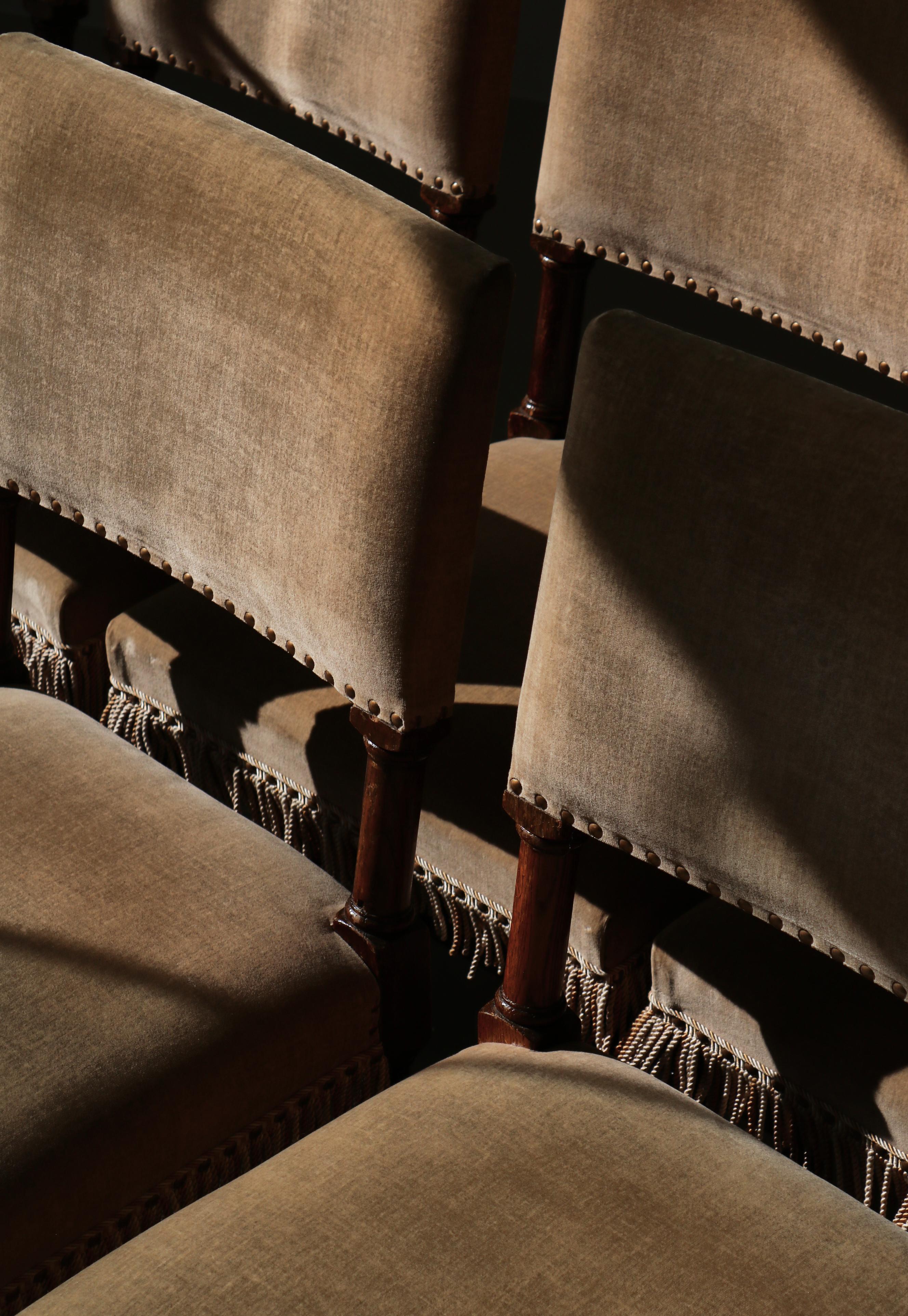 Dining Chairs Swedish Grace Oak & Beige Velvet , Axel-Einar Hjorth Style, 1920s 8