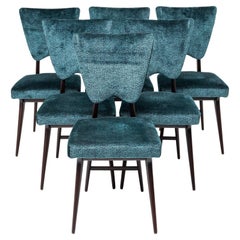 Set of six Dining room chairs, Black and Blue Cover, Italian manufactory, 1950s
