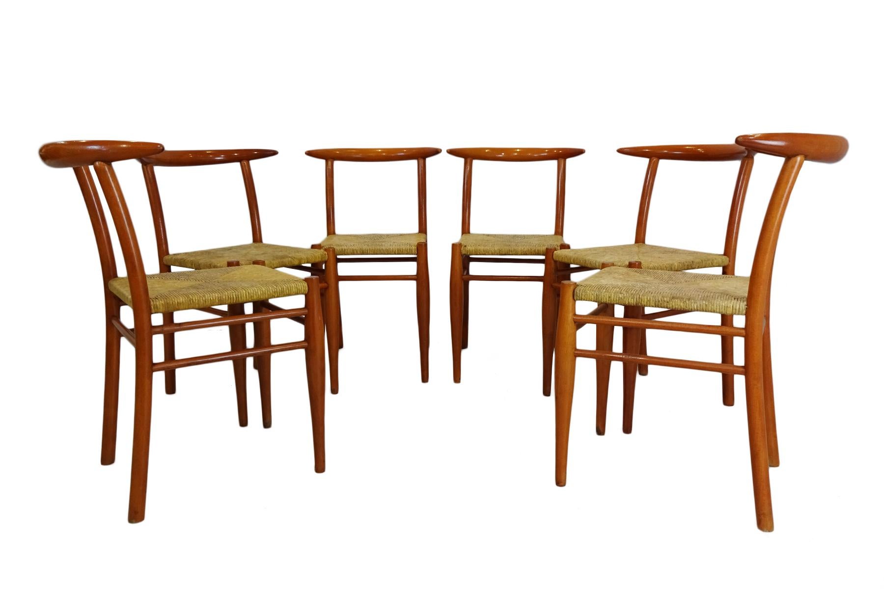 Dining Set  - Cherrywood Incorporating 6 Philippe Starck Tessa Nature Chairs 1