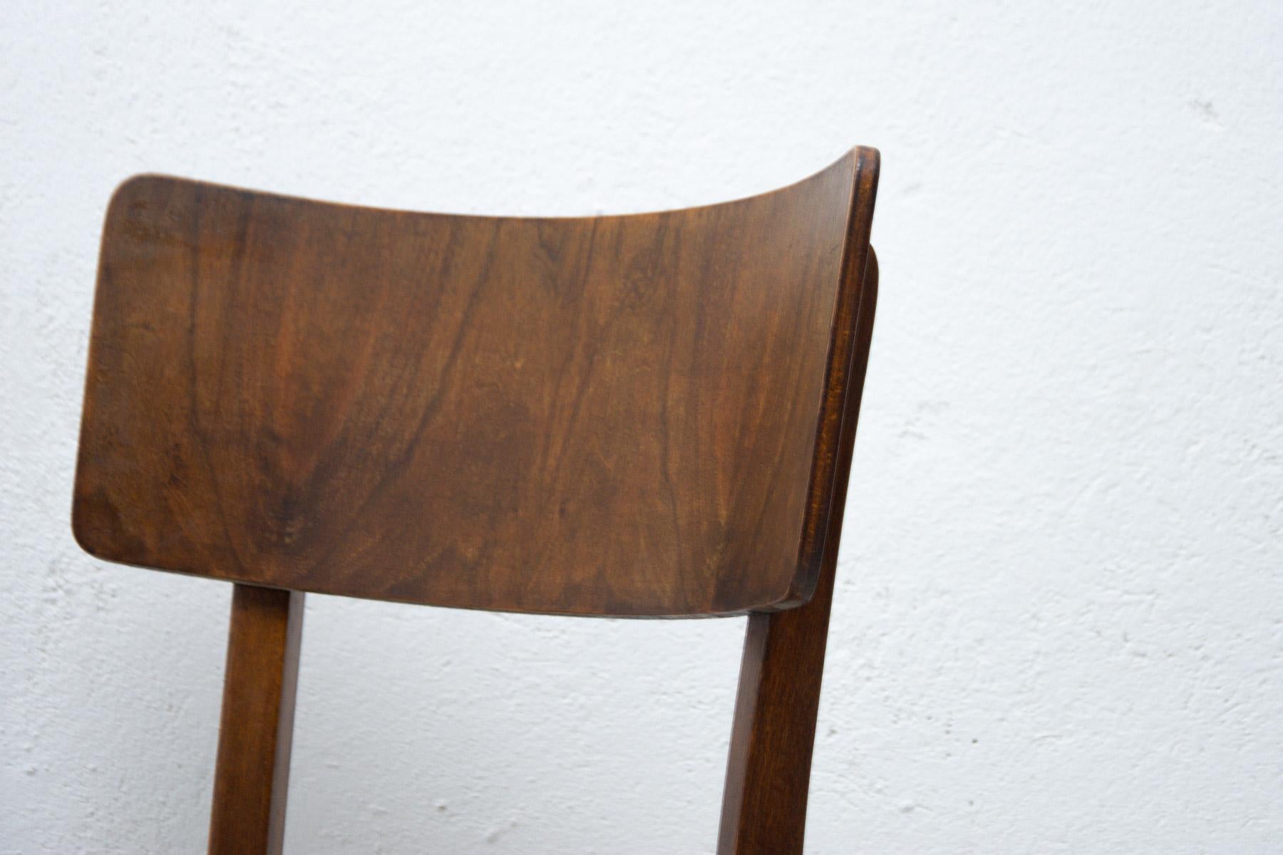 Dining Walnut Chairs by Ton, Czechoslovakia, 1950s, Set of 3 6