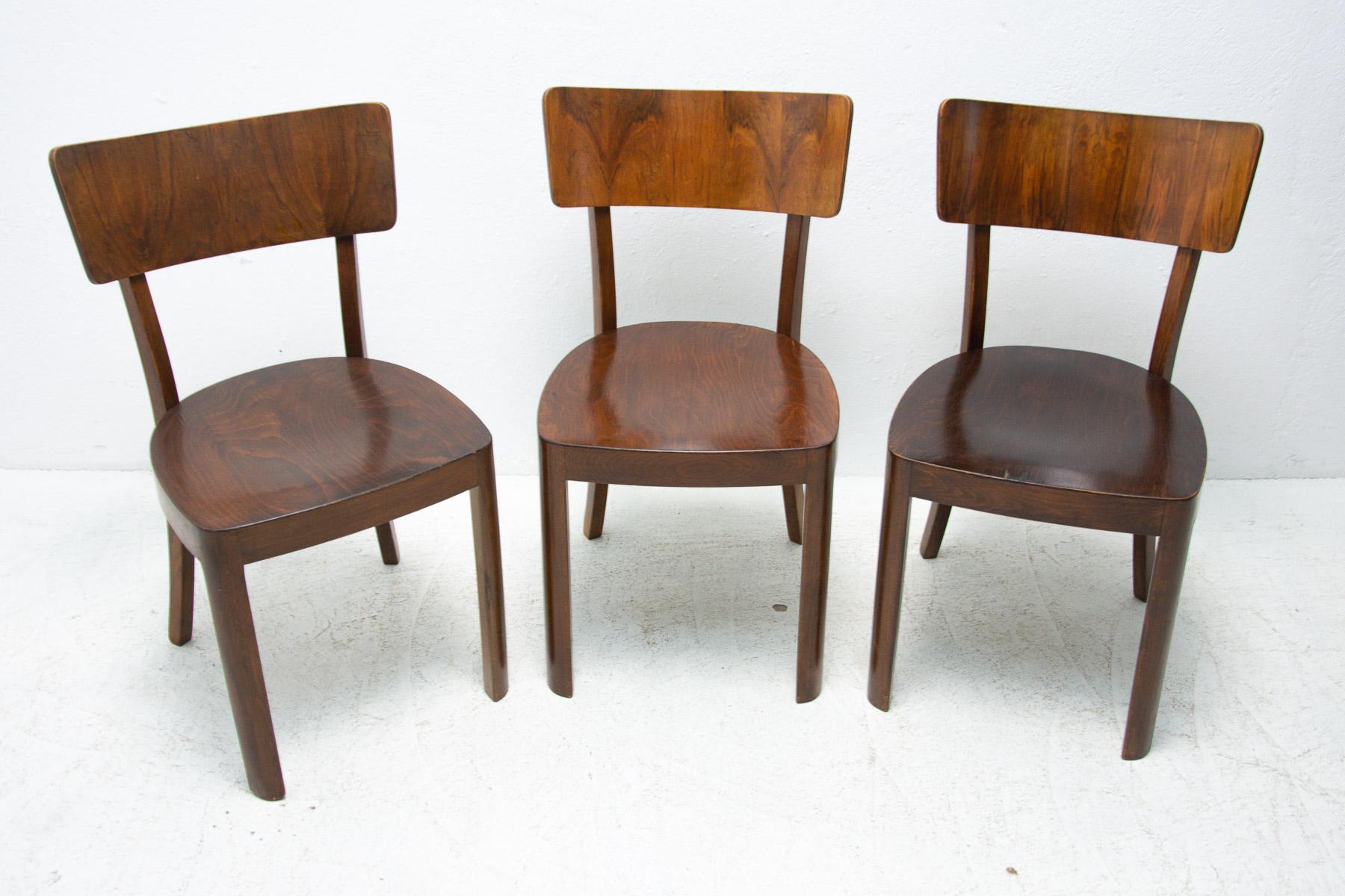 Mid-Century Modern Dining Walnut Chairs by Ton, Czechoslovakia, 1950s, Set of 3
