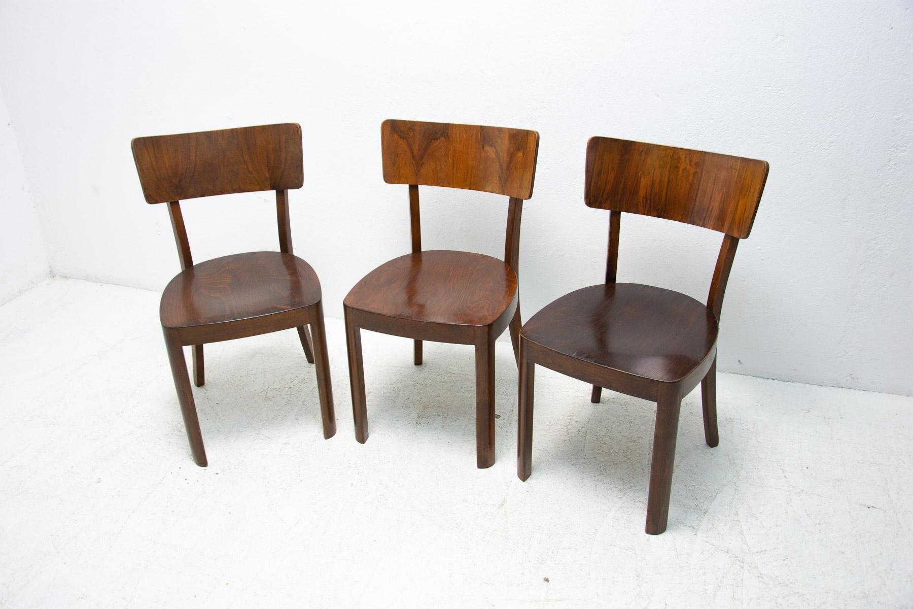 Veneer Dining Walnut Chairs by Ton, Czechoslovakia, 1950s, Set of 3