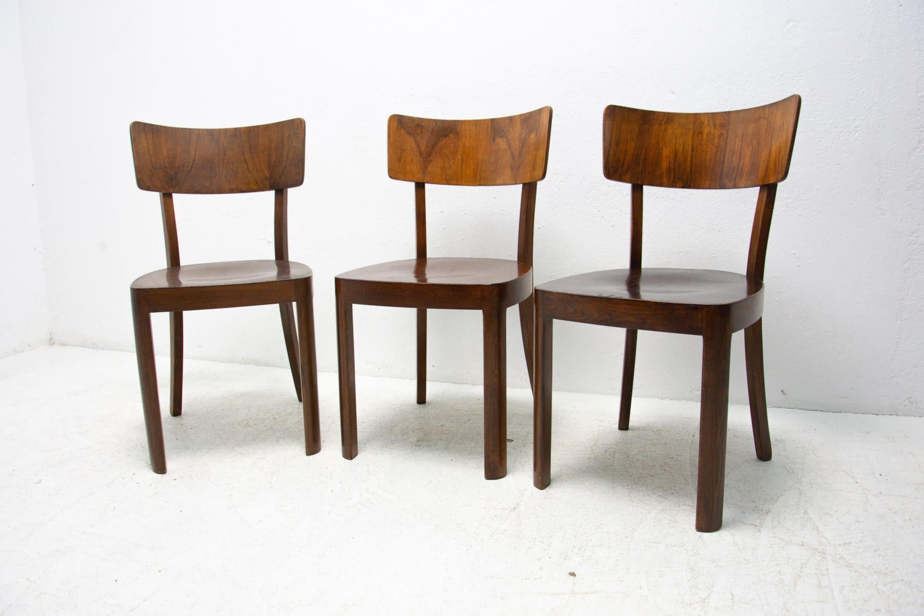 Dining Walnut Chairs by Ton, Czechoslovakia, 1950s, Set of 3 In Good Condition In Prague 8, CZ