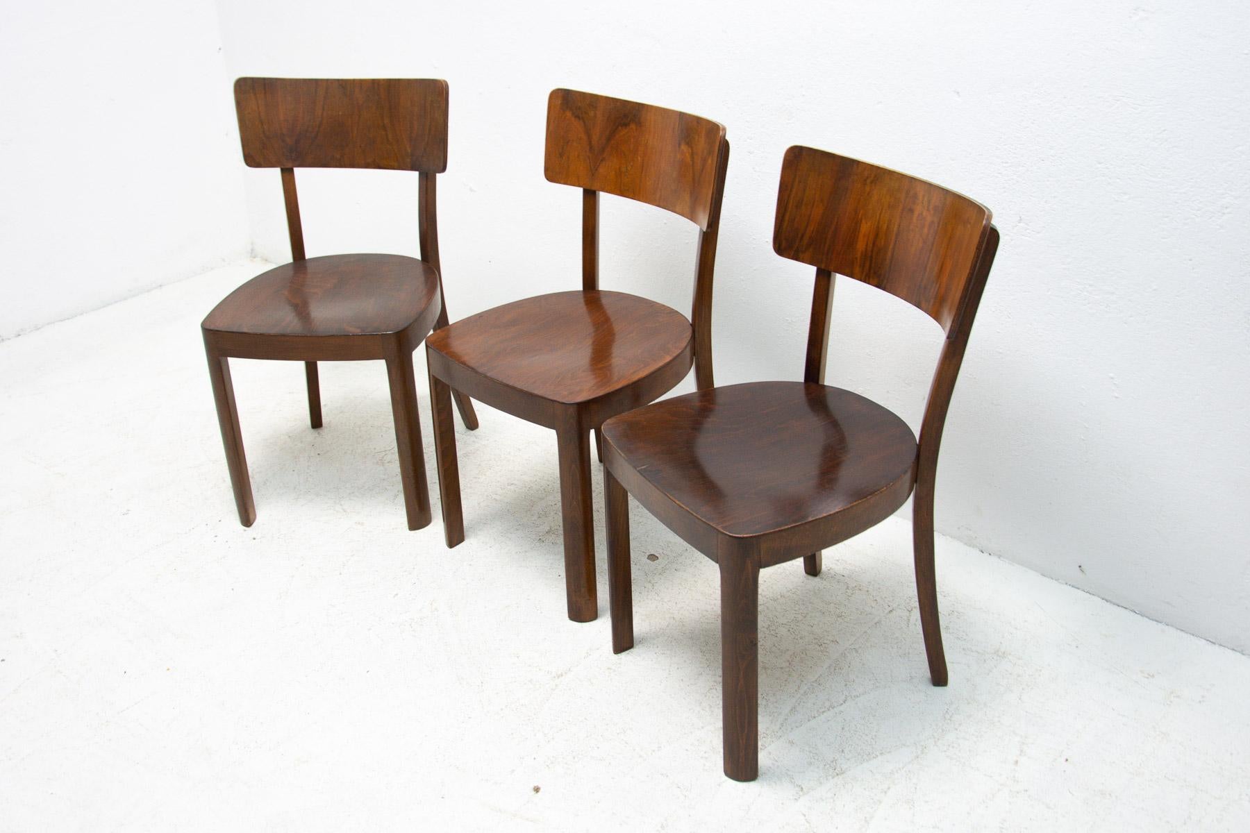 20th Century Dining Walnut Chairs by Ton, Czechoslovakia, 1950s, Set of 3